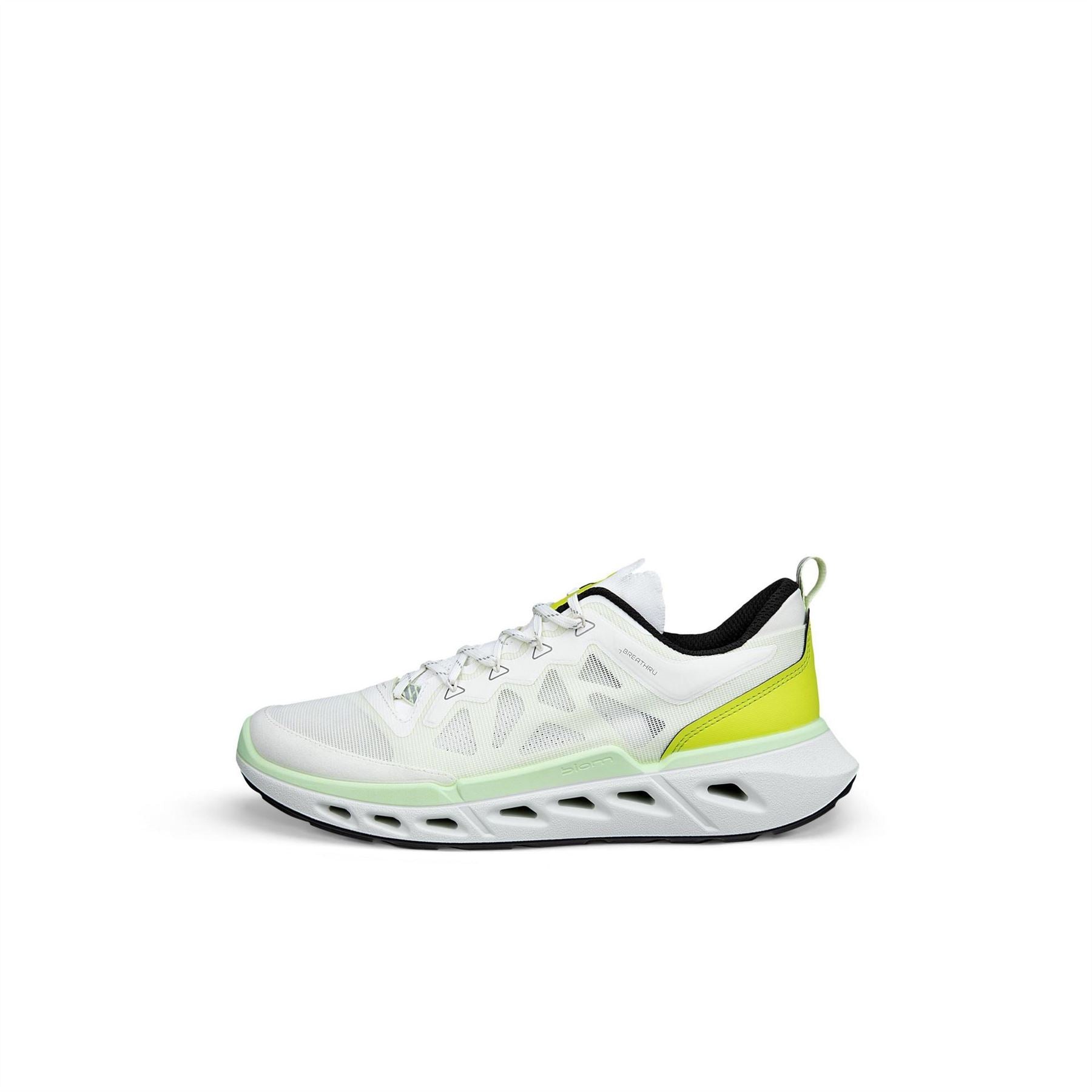 Ecco Biom 720 Sn62