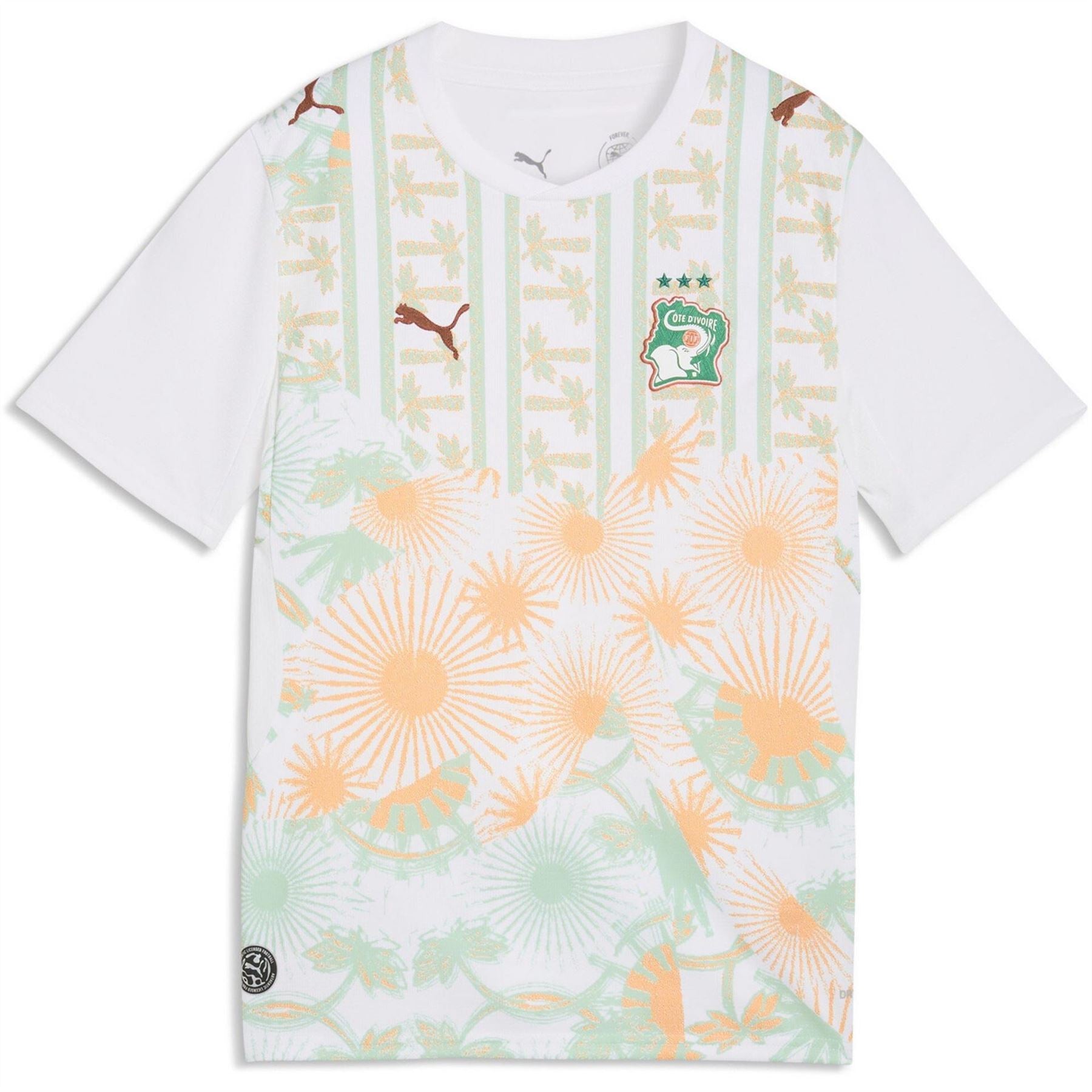 Puma Ivory Coast 2026 Football Shirt
