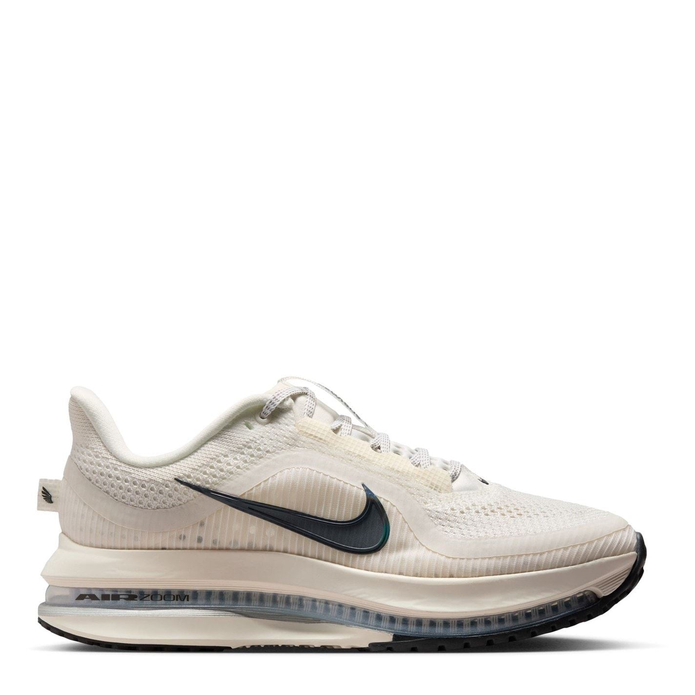 Nike Womens Pegasus Premium Trainers
