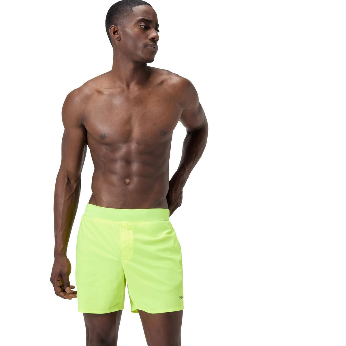 Speedo The Lookout 1