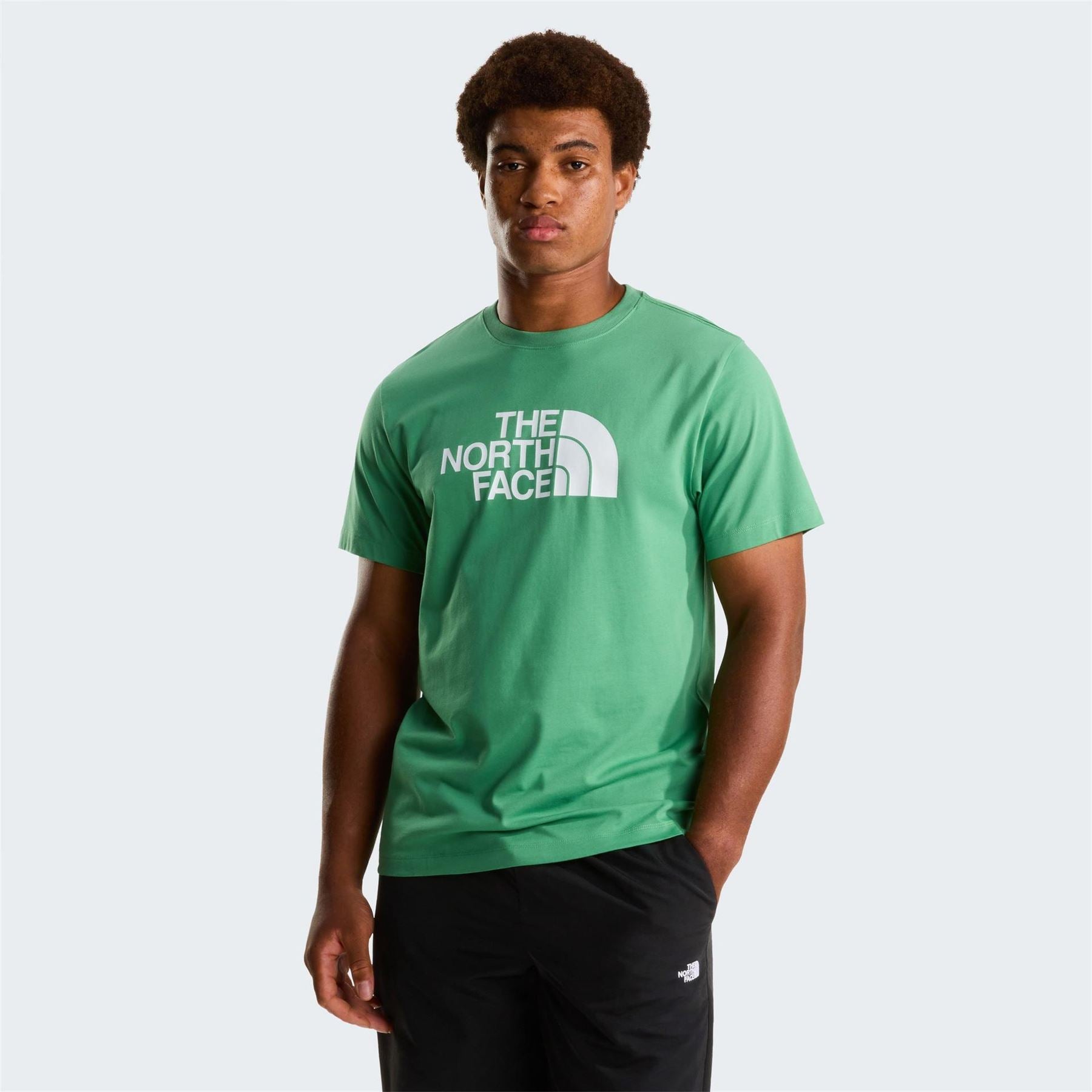 The North Face Mens Regular Fit Short Sleeve T-Shirt