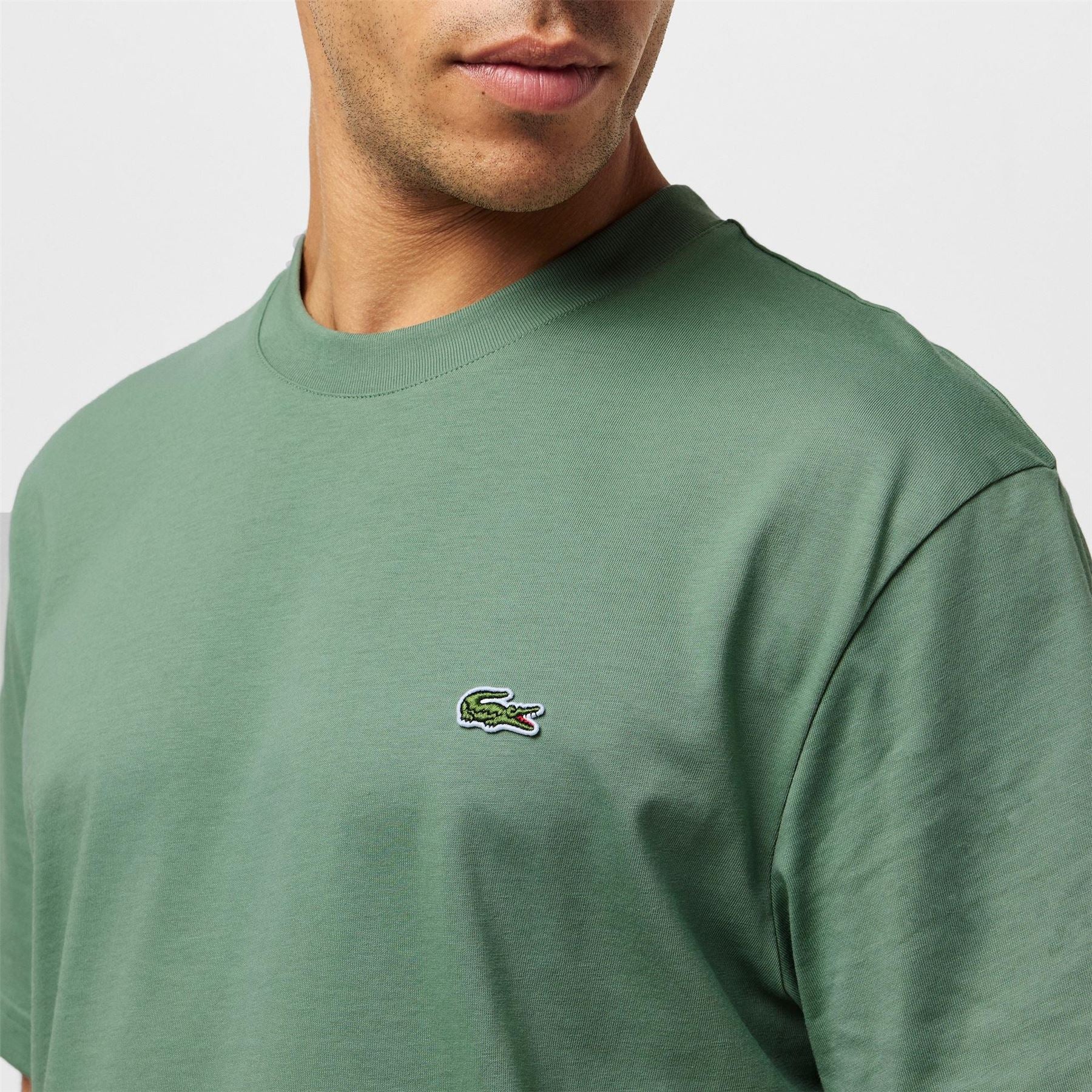 Lacoste Regular Fit Small Logo T-Shirt