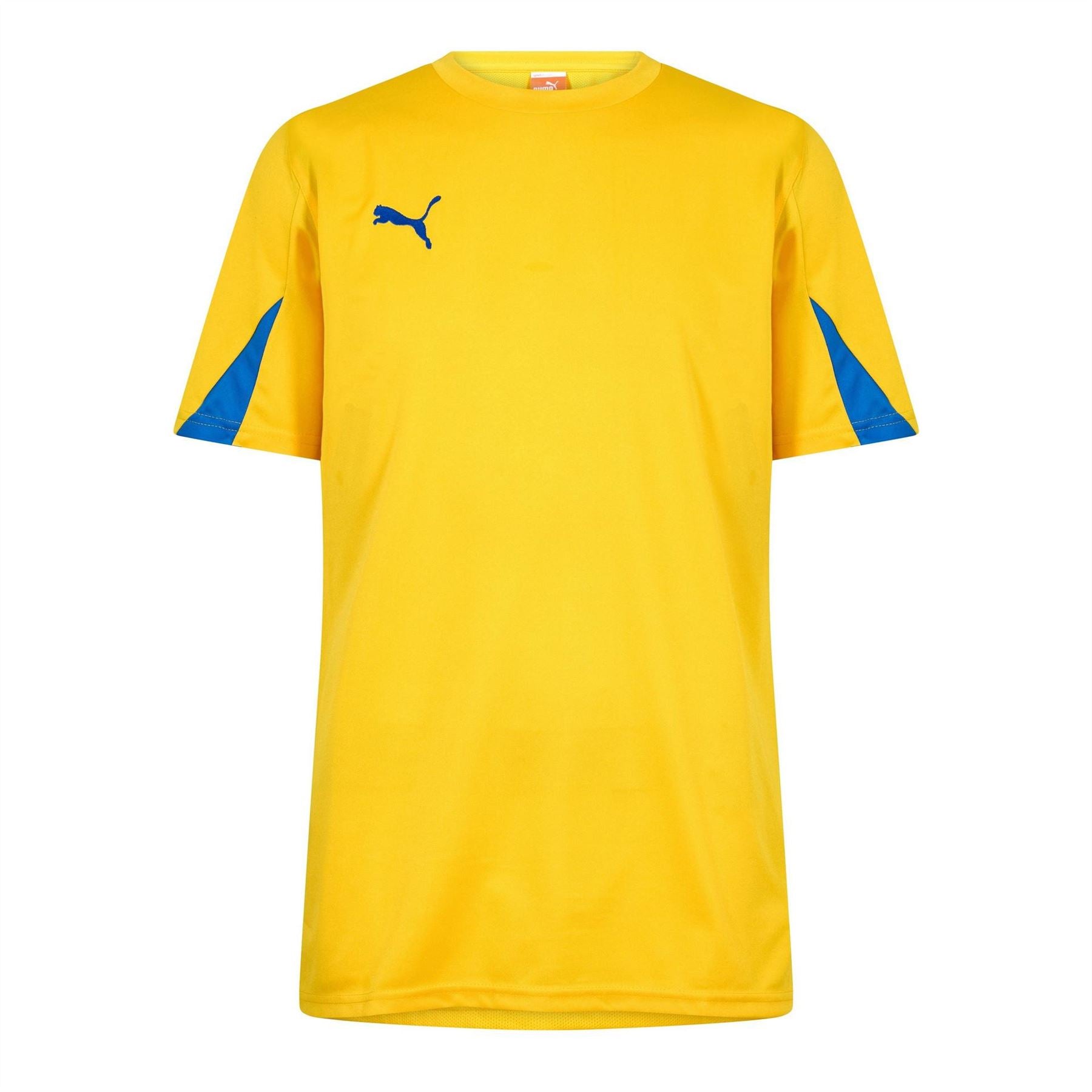Puma Mens Team S S Tee