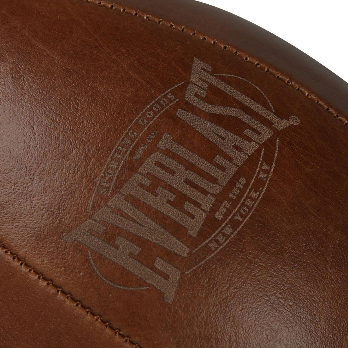 Everlast 1910 Pro Leather Speed Punching Bag