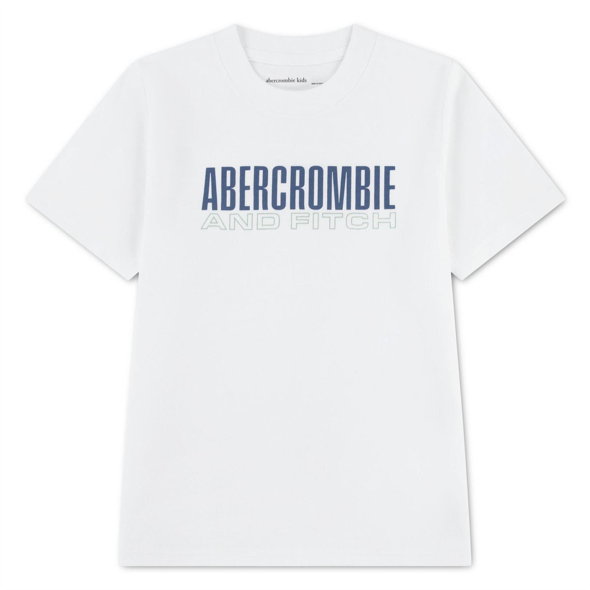 Abercrombie and Fitch and F Brick T Shrt Jn62