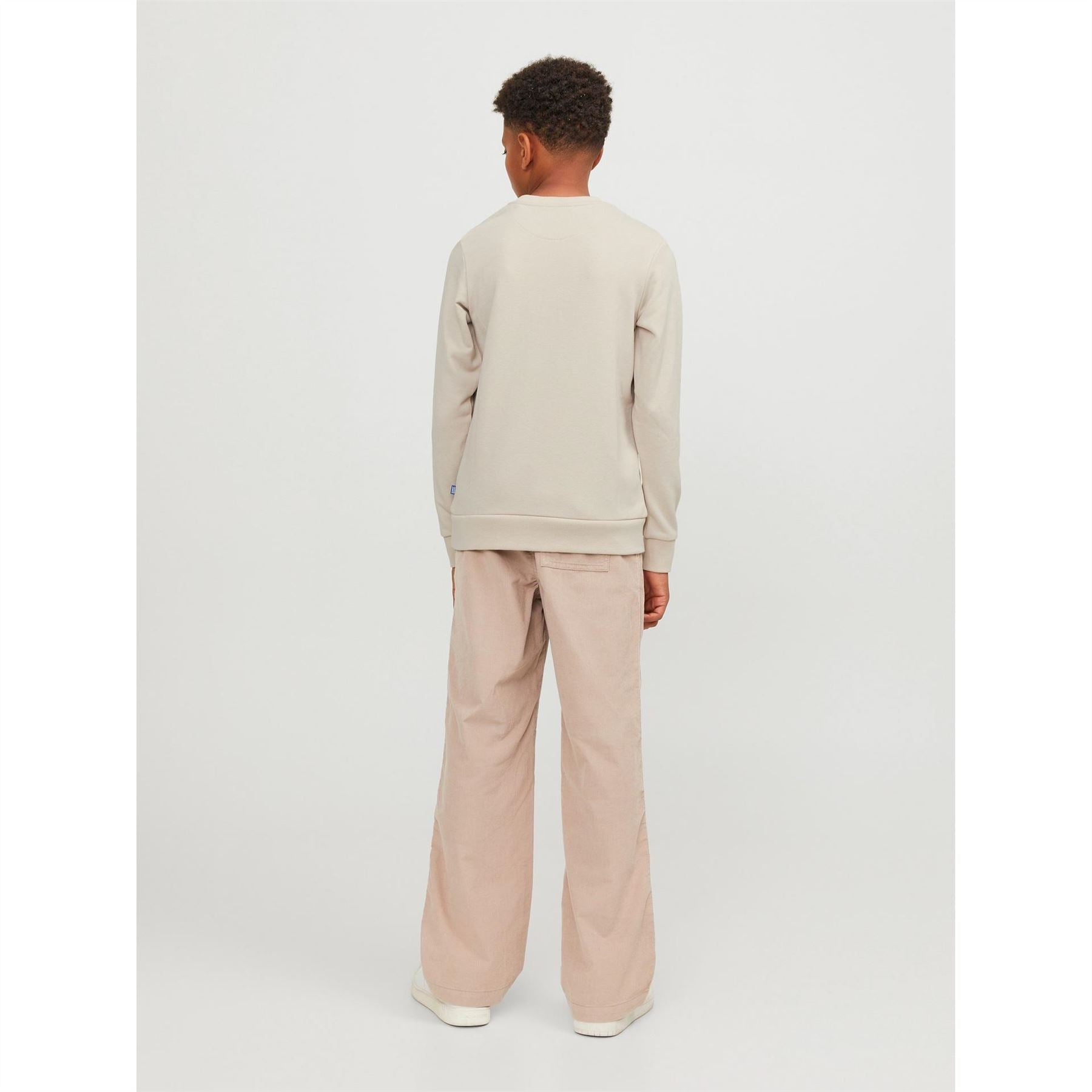 Jack and Jones Crew Neck Regular Fit Long Sleeve Sweater