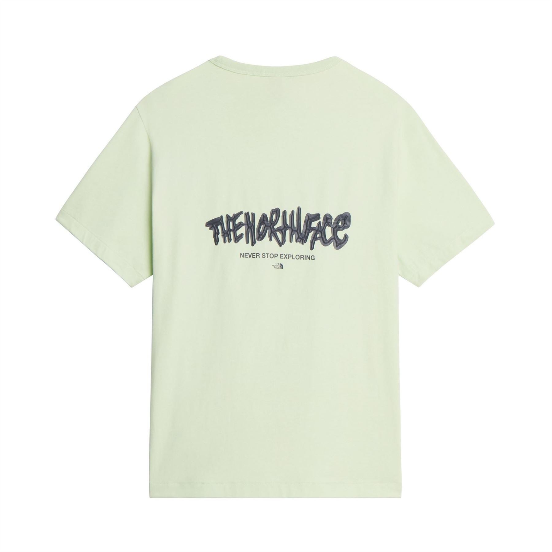 The North Face Mens Nse Logo Tee
