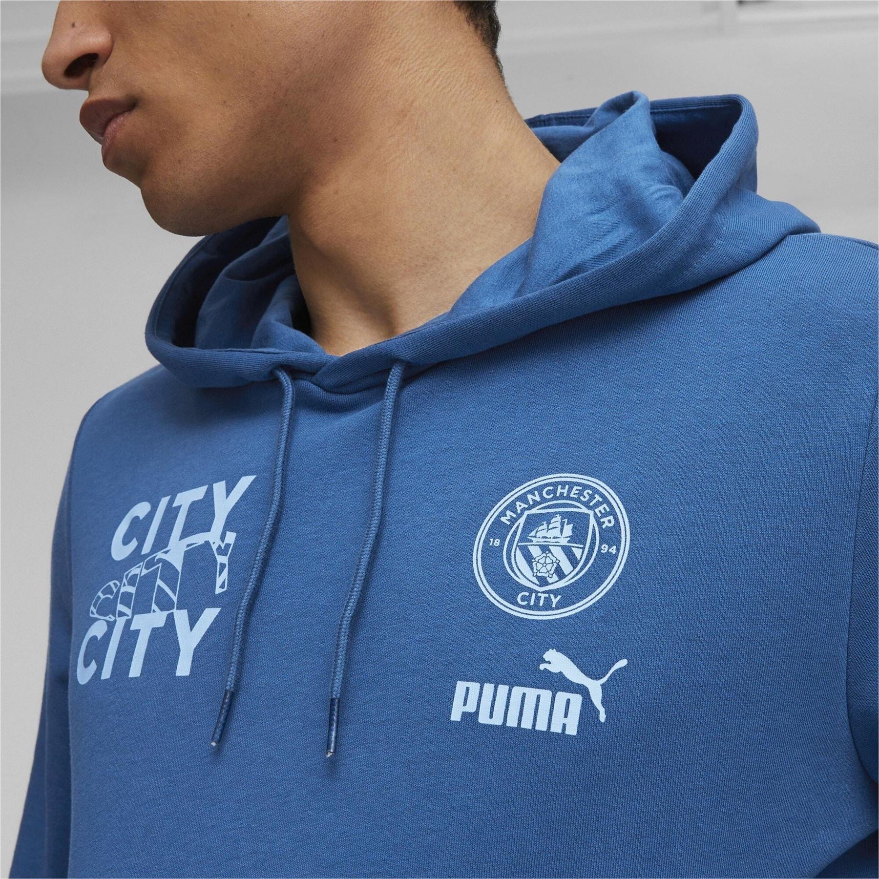 Puma Mens Ftblcore Graphic Hoody