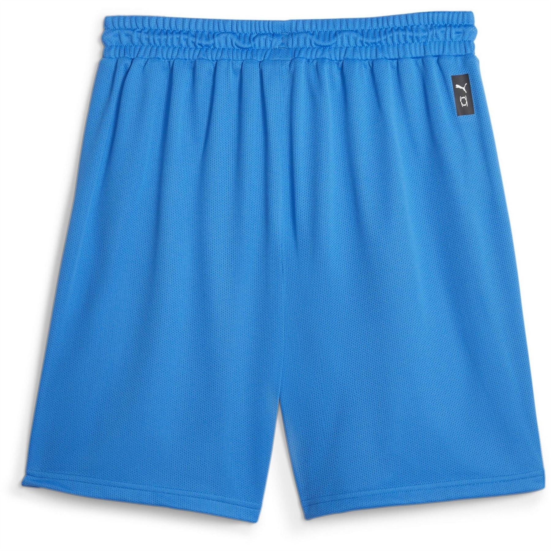 Puma Hoops Team Practice Basketball Shorts