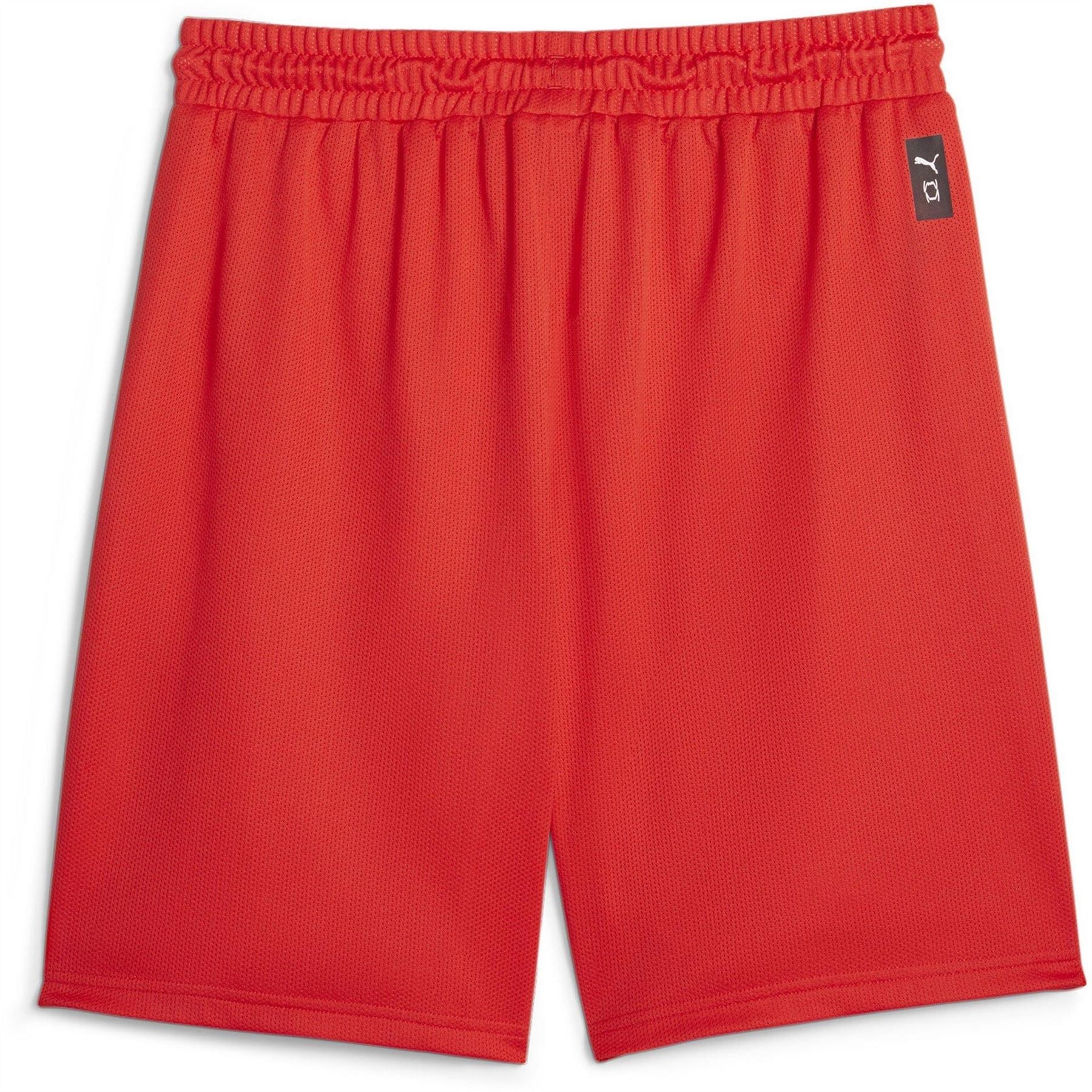 Puma Hoops Team Practice Basketball Shorts