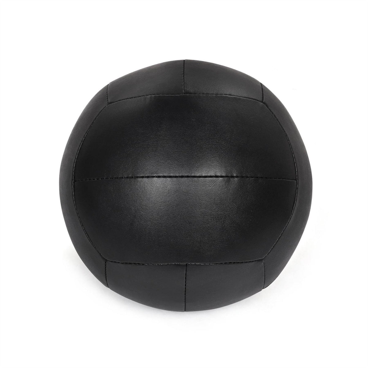 Everlast Medicine Ball