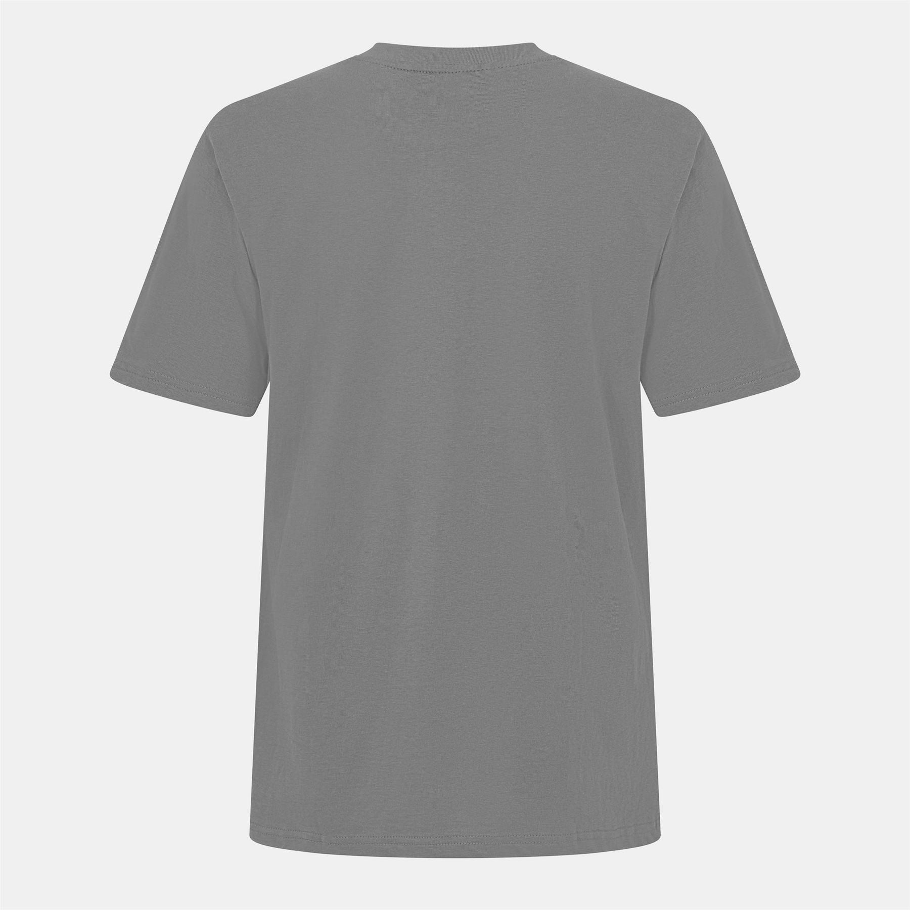 Threadbare Angeloni Regular Fit Lettering T-Shirt