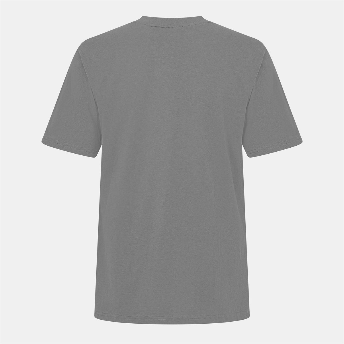 Threadbare Angeloni Regular Fit Lettering T-Shirt