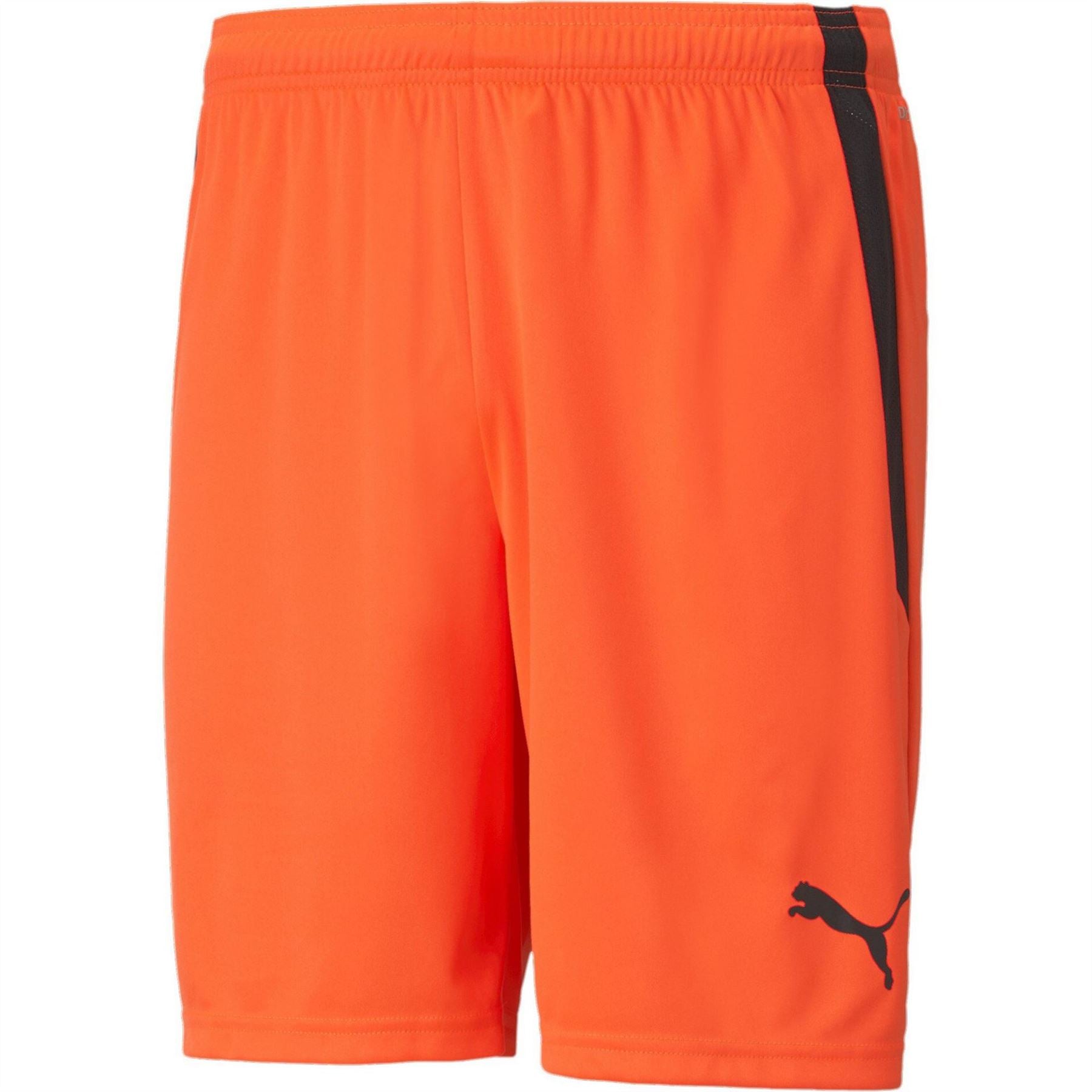Puma Mens Teamliga Shorts Football Shorts