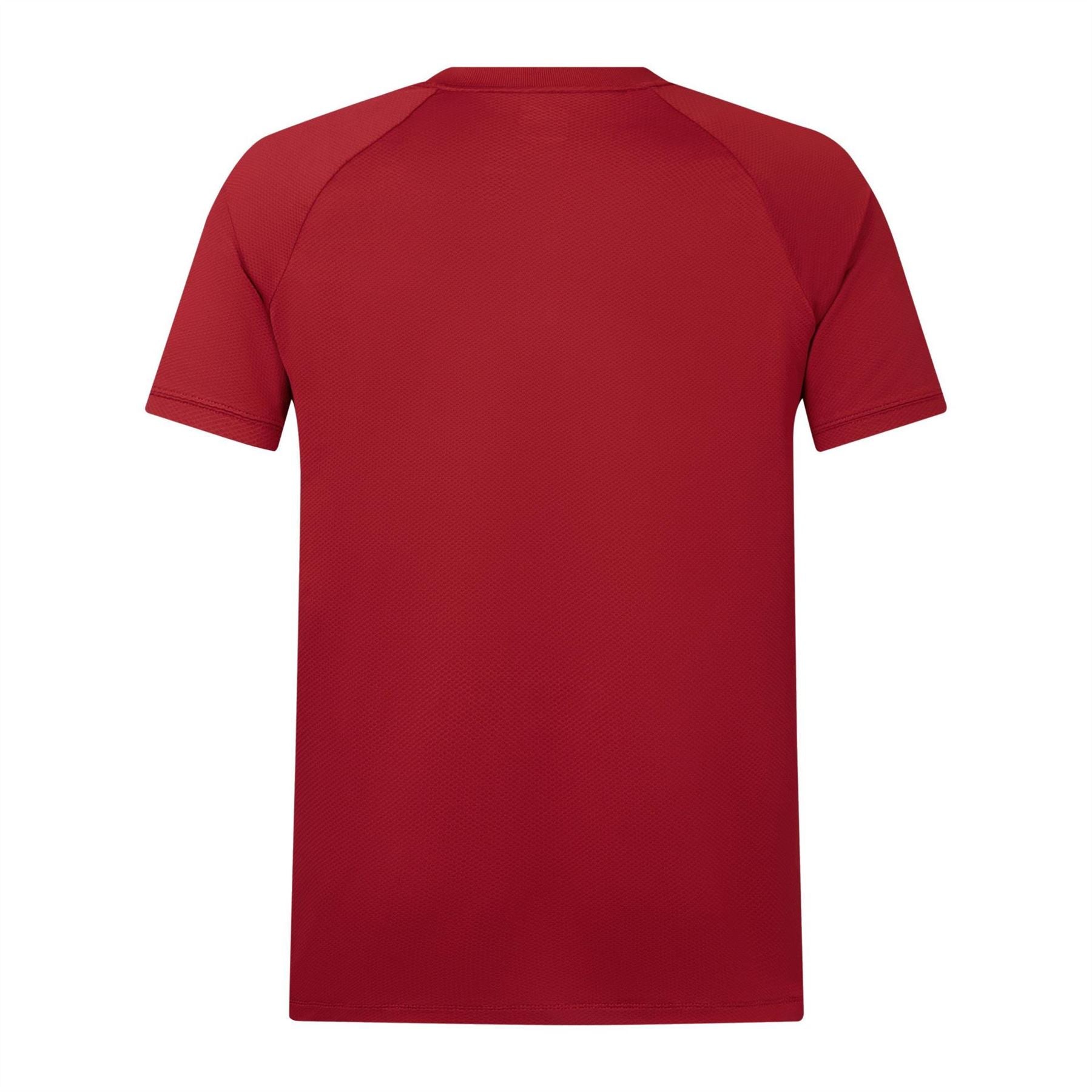 British & Irish Lions 2025 | Official Jersey & Kit - Lovell Rugby