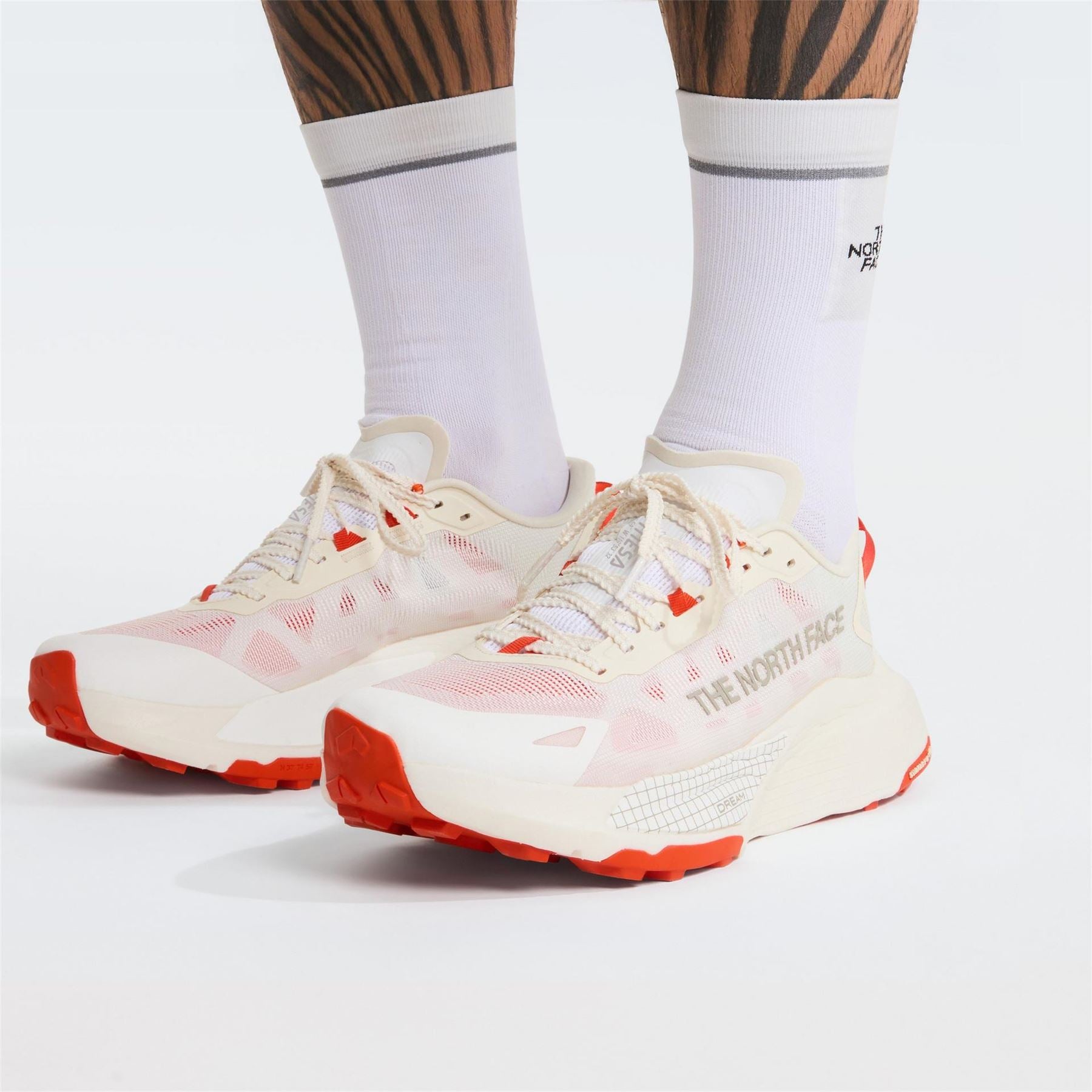 The North Face Mens Altamesa 500 V2