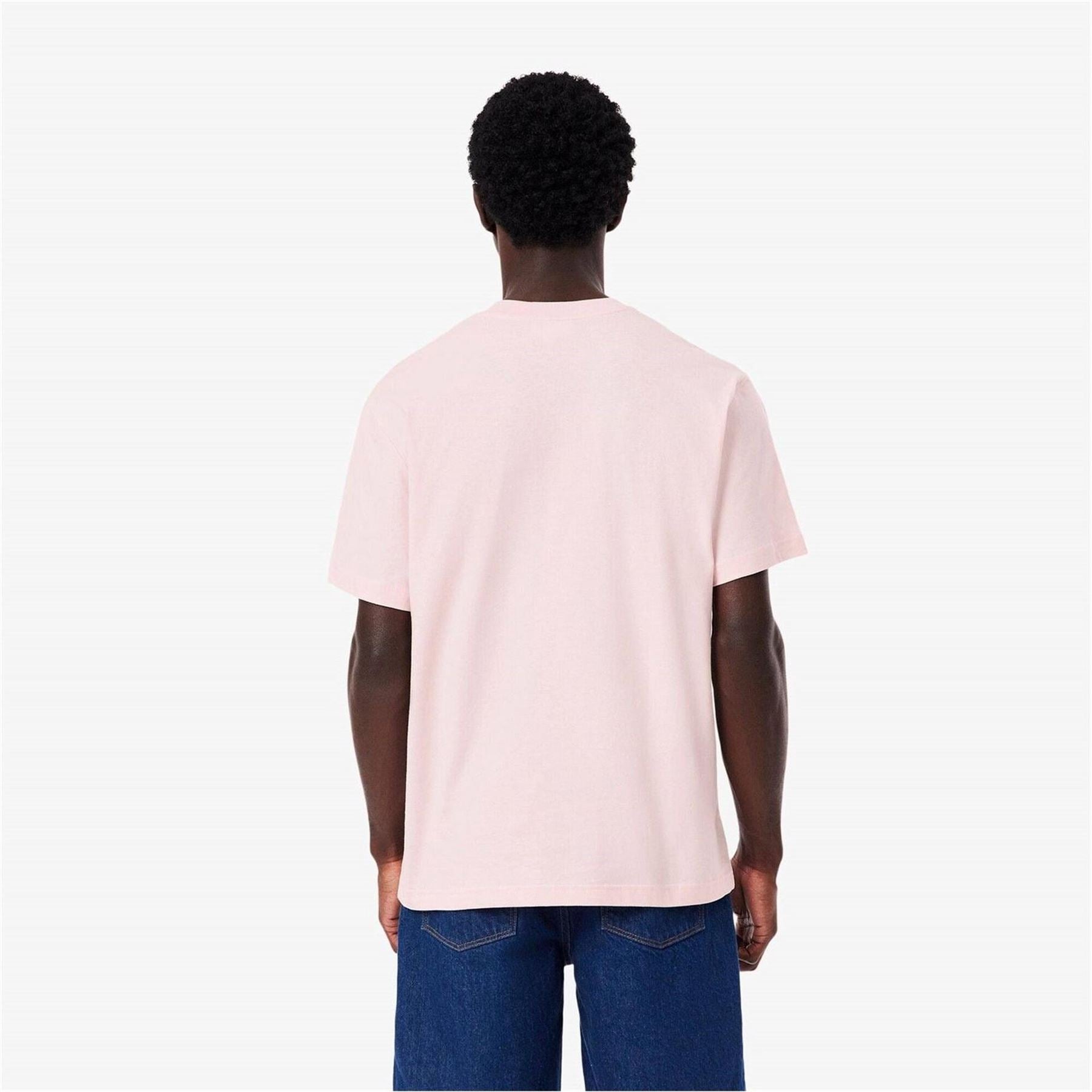 Lacoste Regular Fit Small Logo T-Shirt