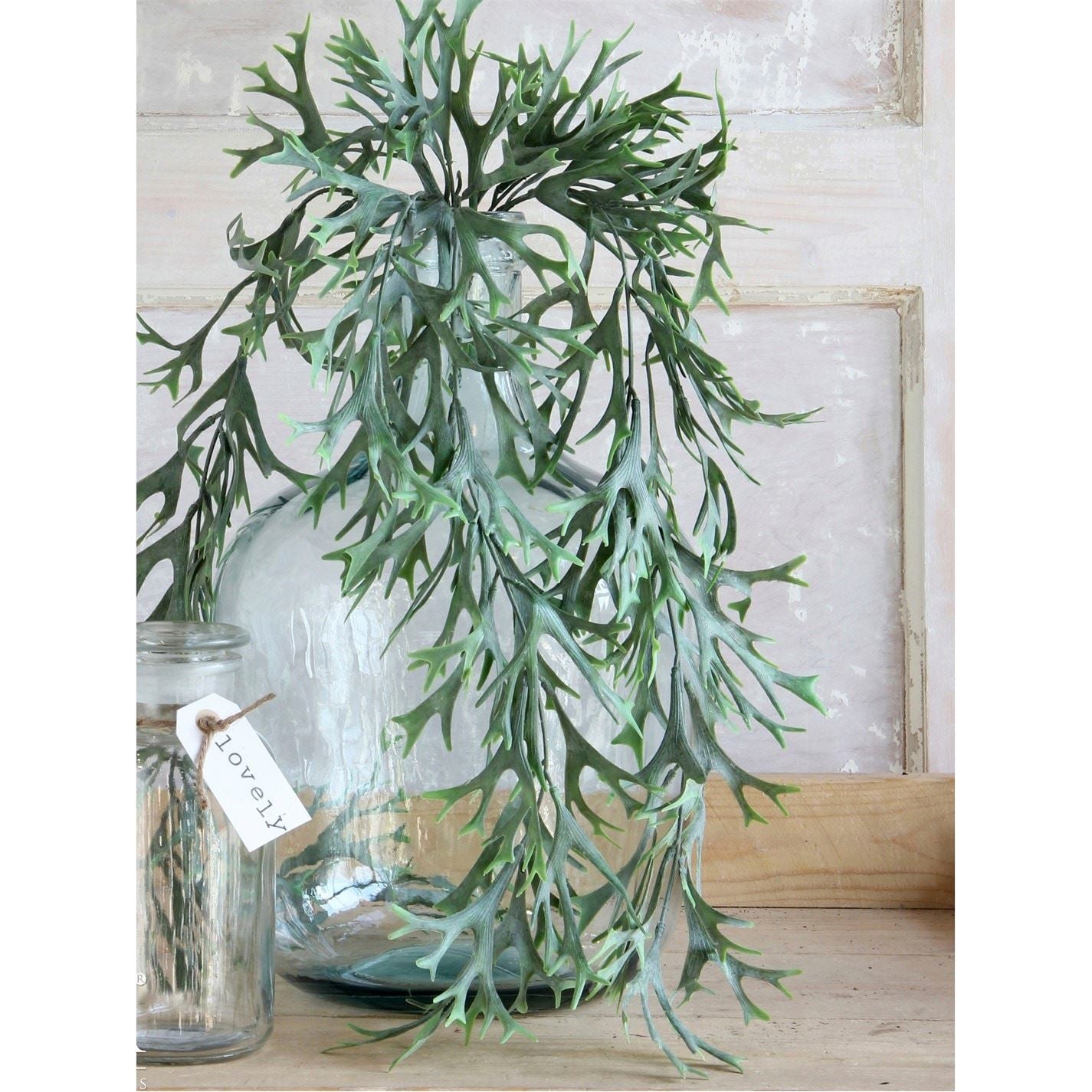Mica Citronella Hanging Green