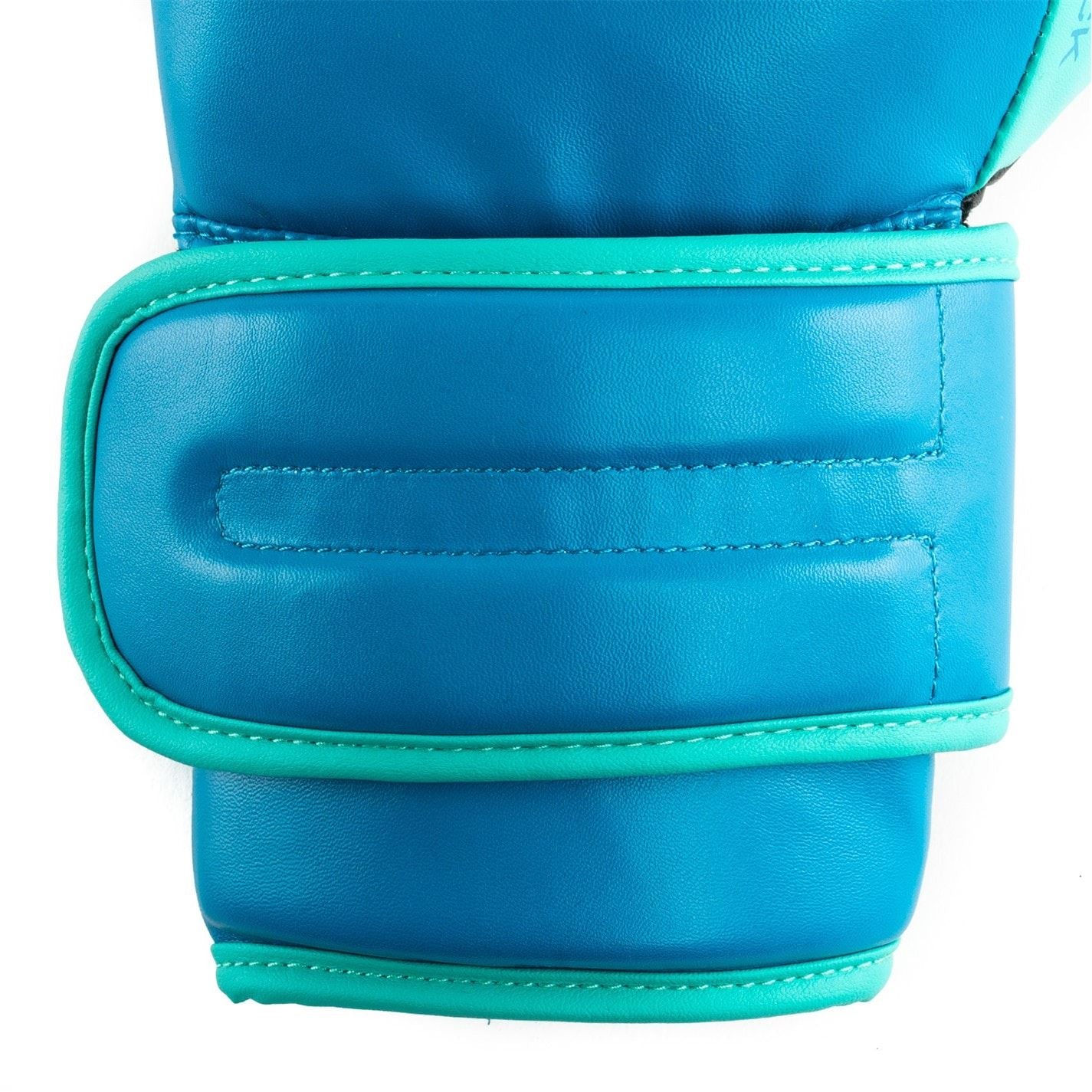Everlast Boxing Hook  And  Loop Glove