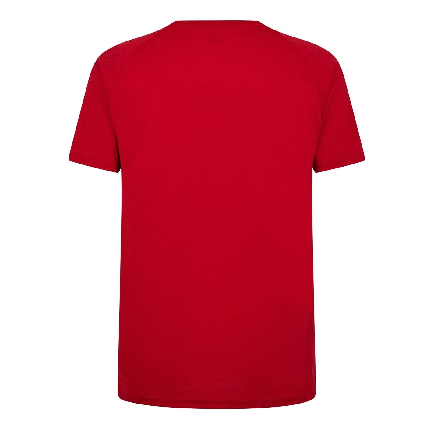 Castore Scarlets T-Shirt 2024 2025 Adults