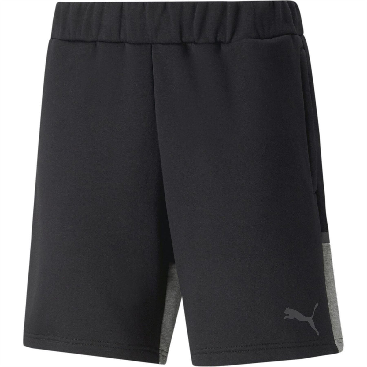 Puma Mens Teamcup Casuals Shorts Football Shorts