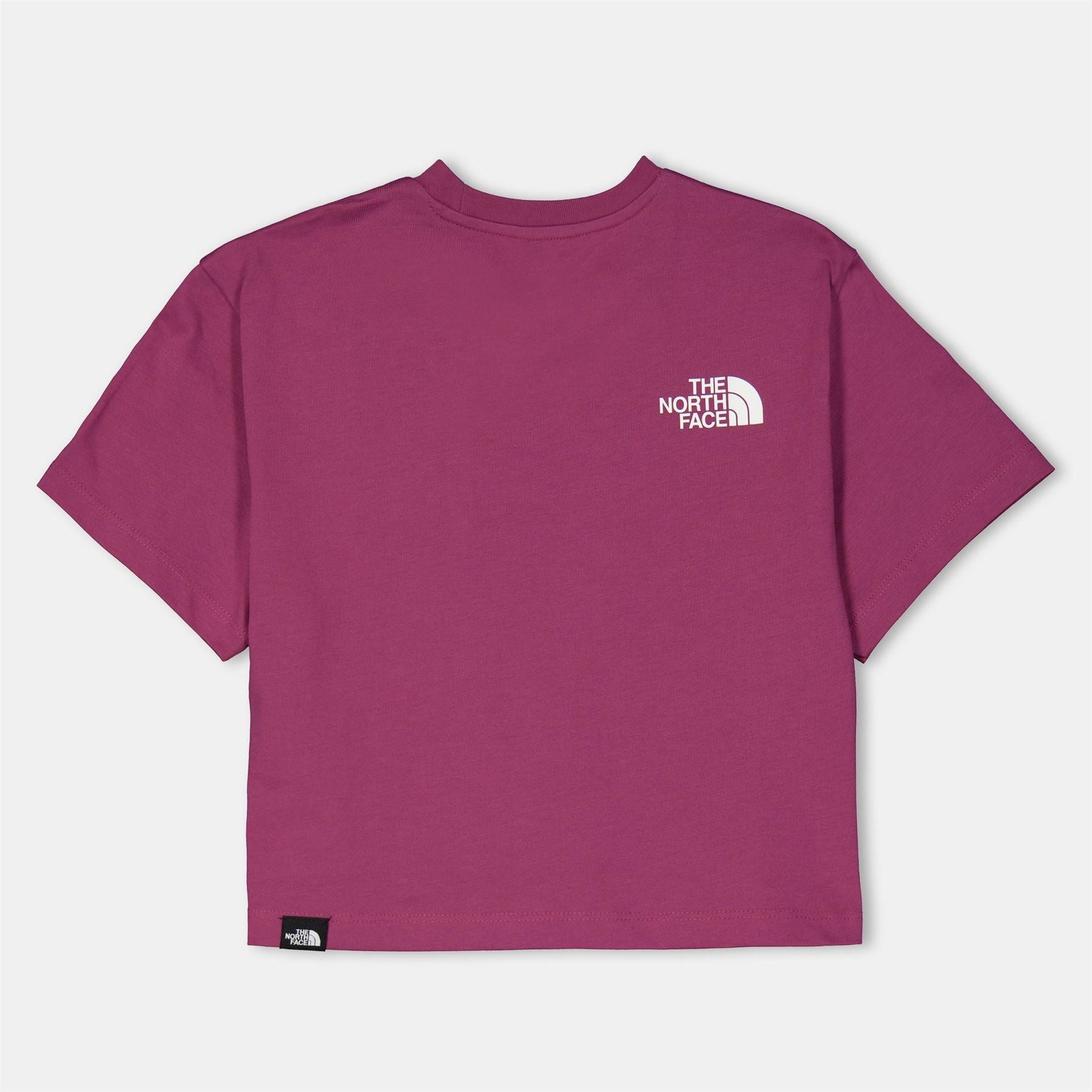 The North Face Cropped Relaxed Fit Crew Neck T-Shirt
