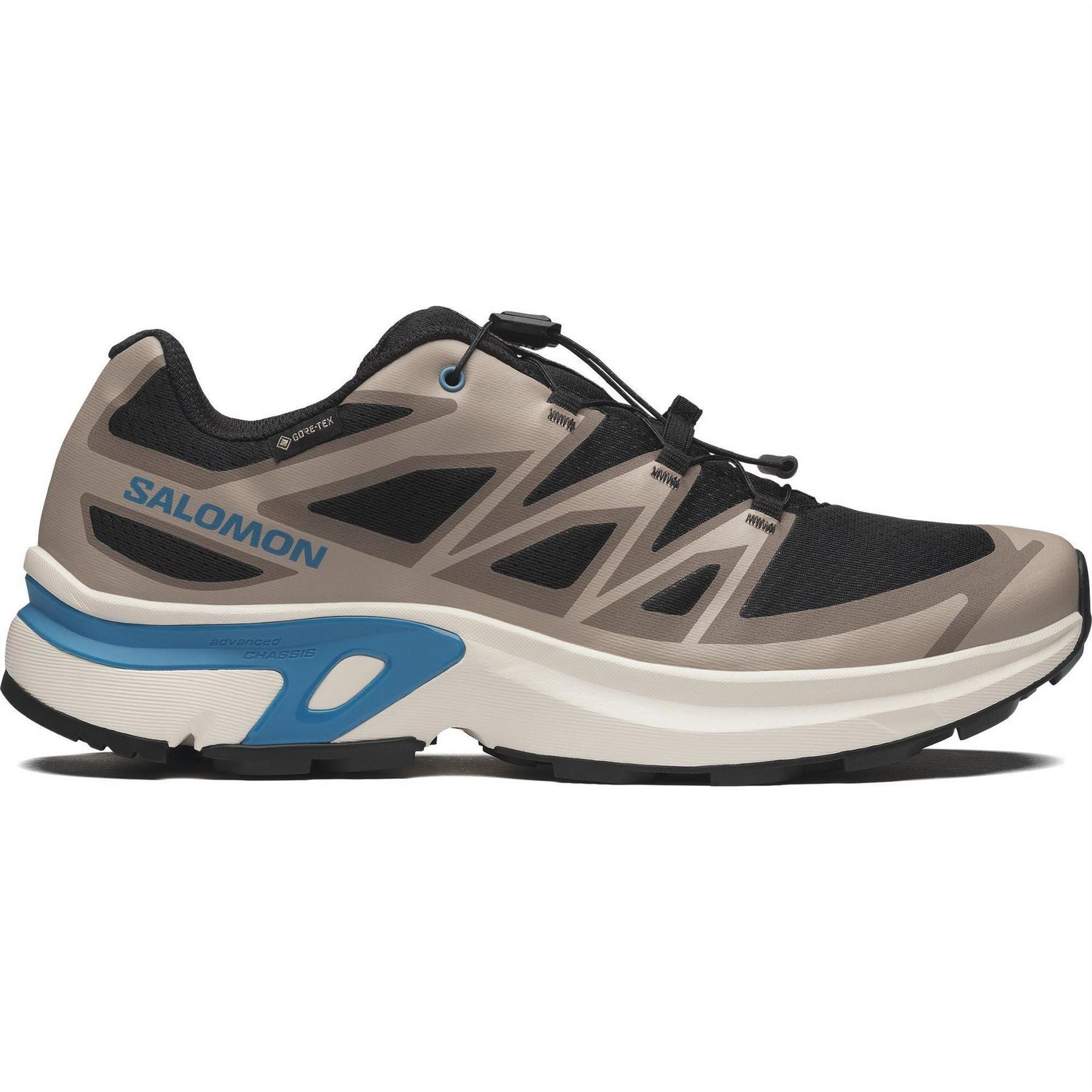 Salomon Mens Evr GorE-Tex