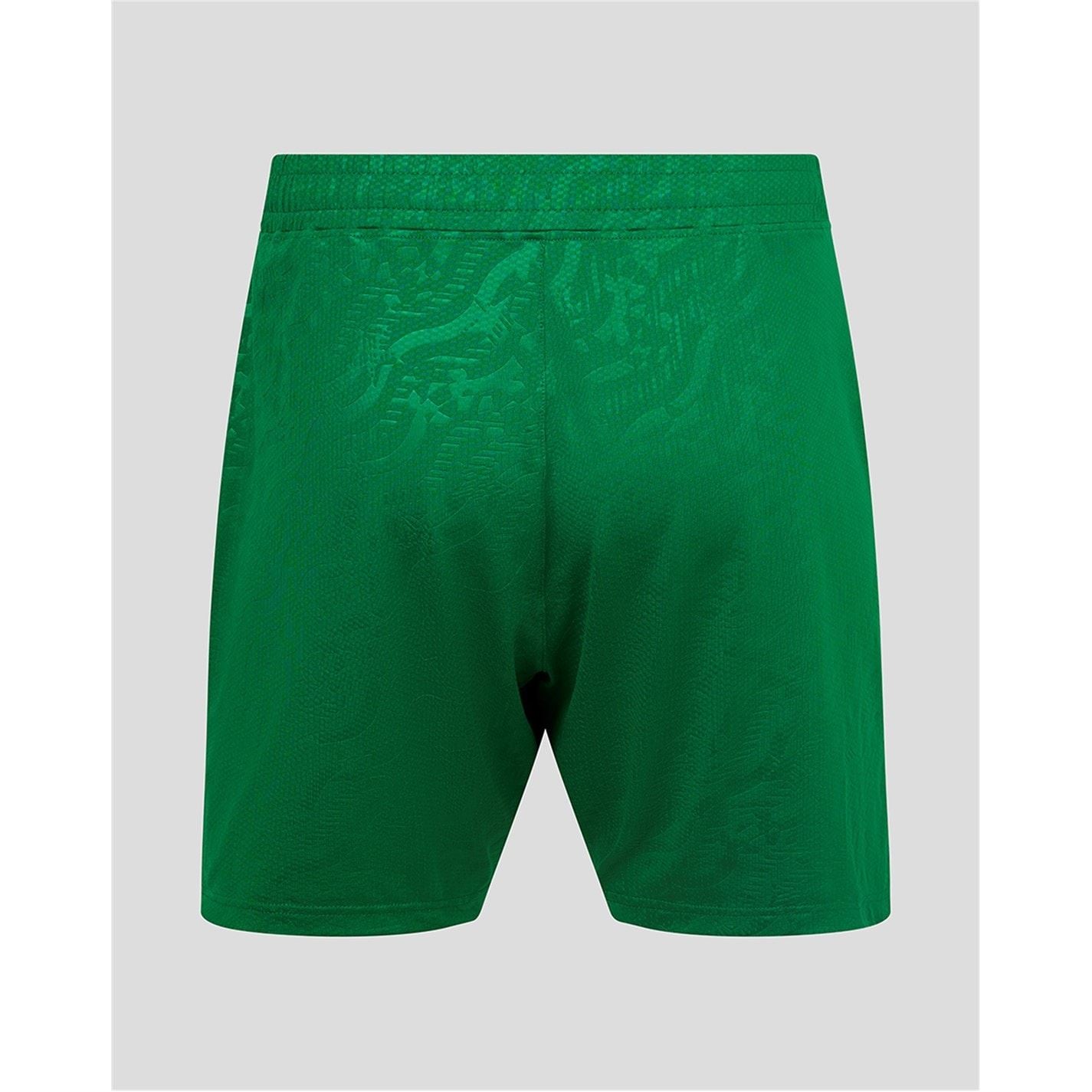 Castore Ireland Third Shorts 2024 Adults
