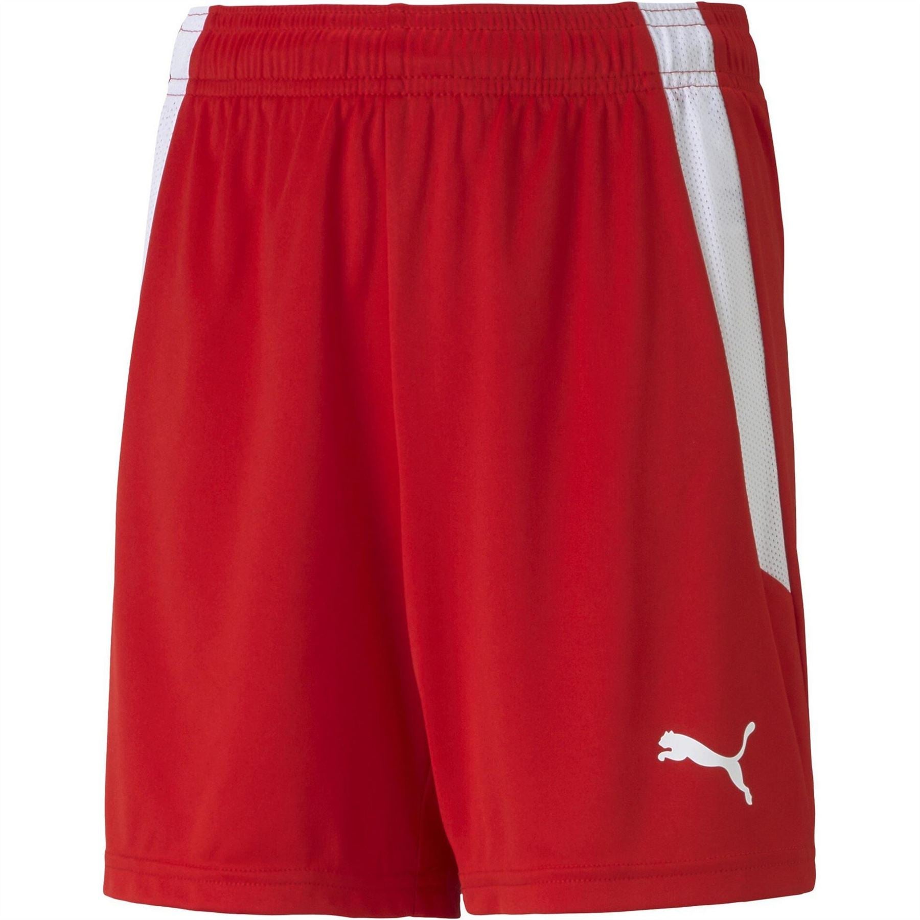 Puma Teamliga Shorts Jr Football Short Unisex Kids