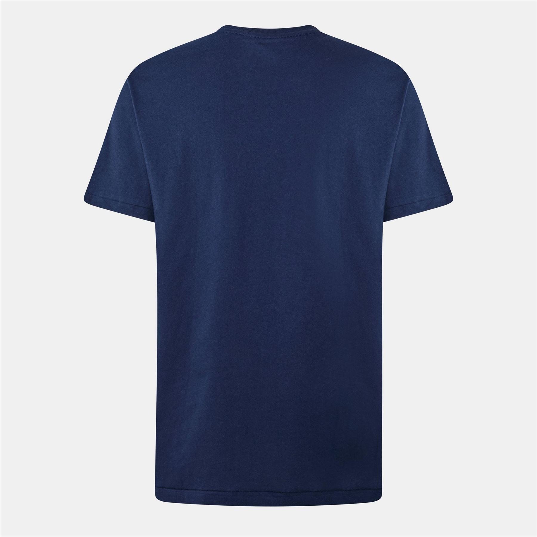 Polo Ralph Lauren Crest Logo Print Regular Fit Crew Neck T-Shirt