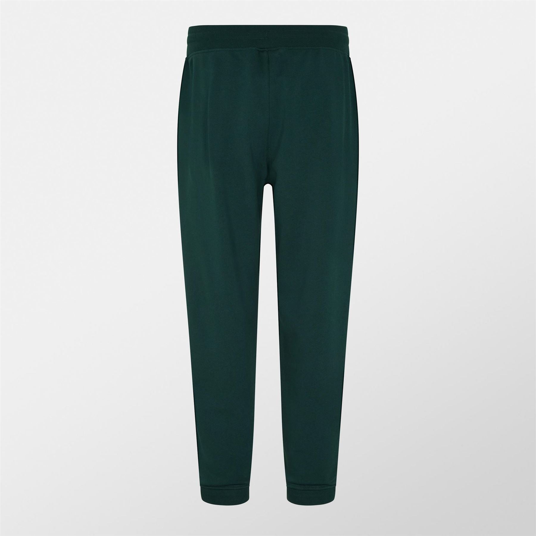 Canterbury Mens And  Irish Lions Tracksuit Bottoms 2025
