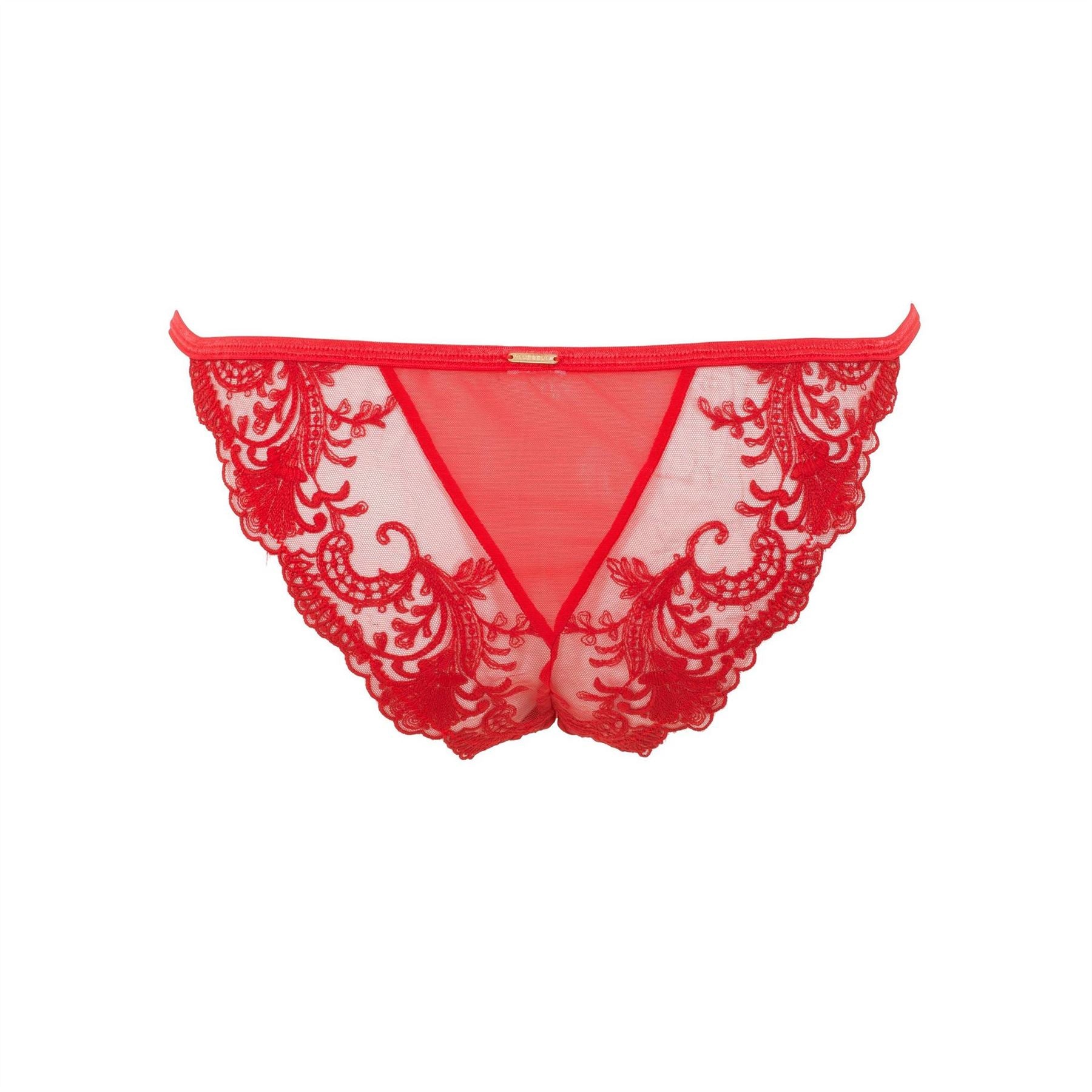 Bluebella Brief