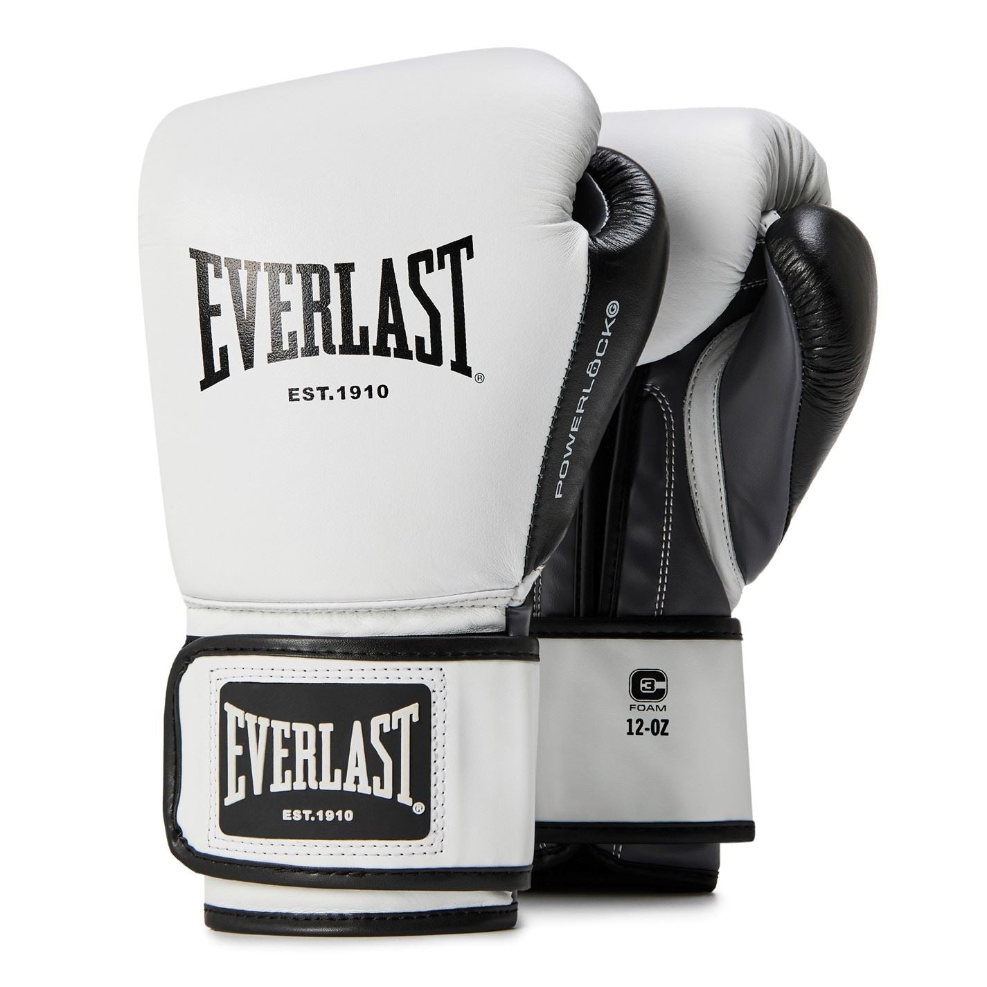 Everlast Powerlock Og Advanced Training Glove Hook And Loop