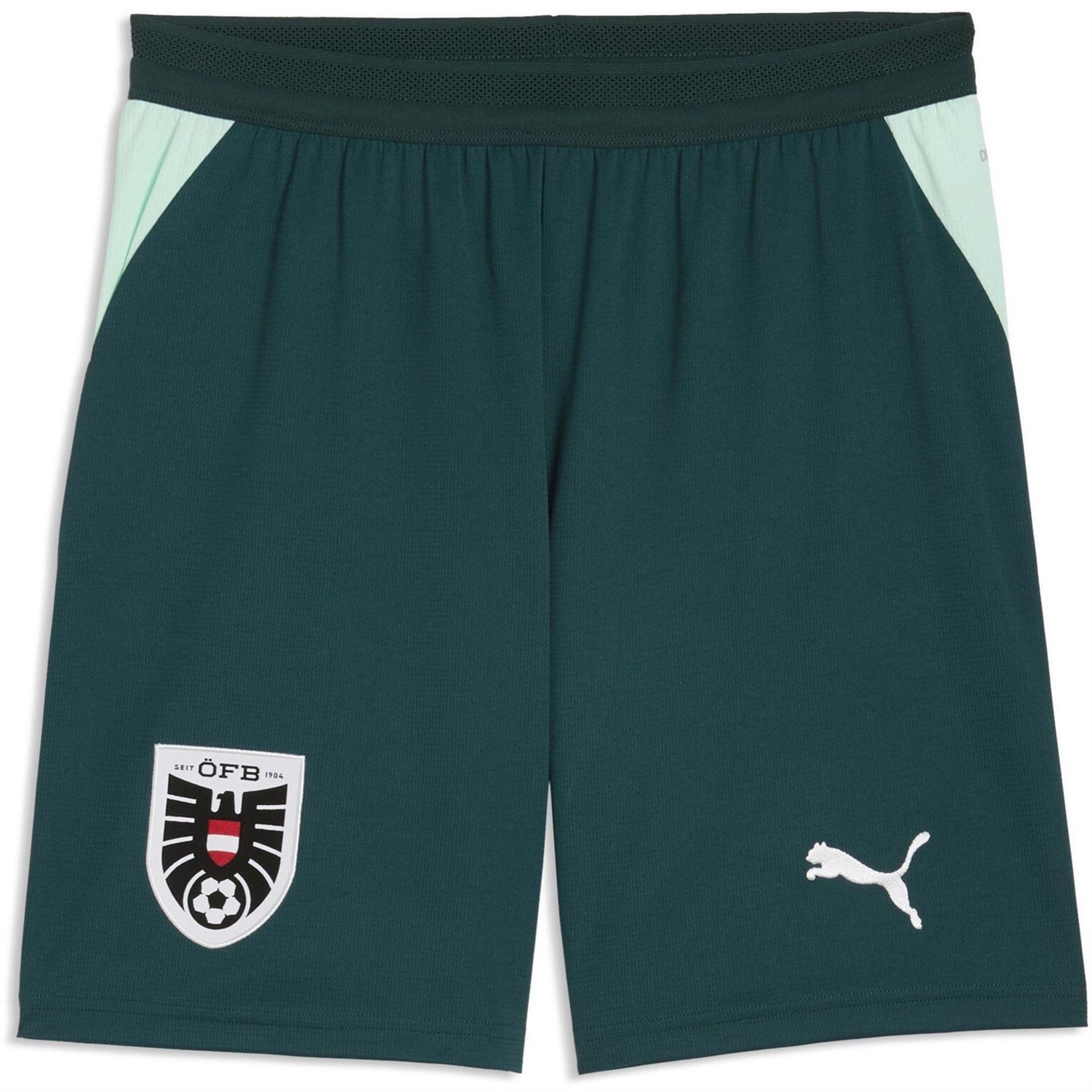 Puma Austria Fifa World Cup 2026™ Football Shorts