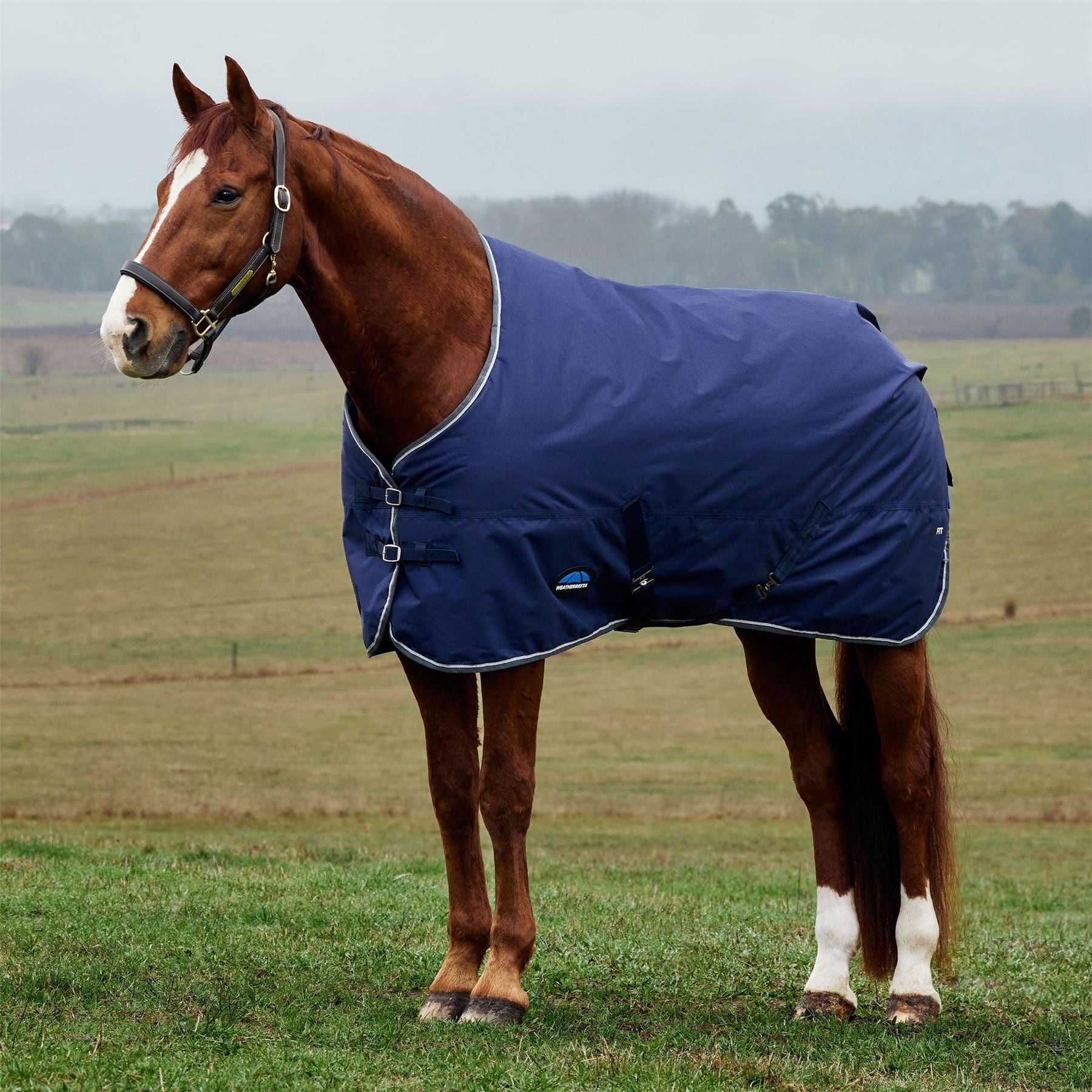 Weatherbeeta Comfitec Tyro Turnout Standard Neck 50g