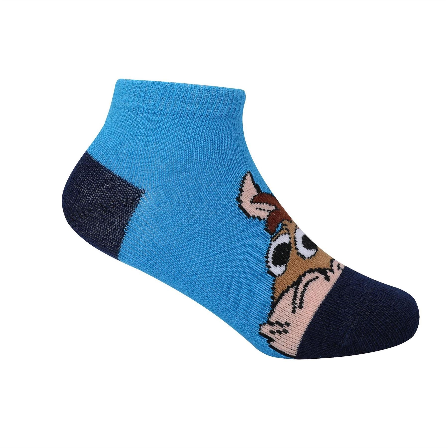 Character Trainer Sock 5pk Children