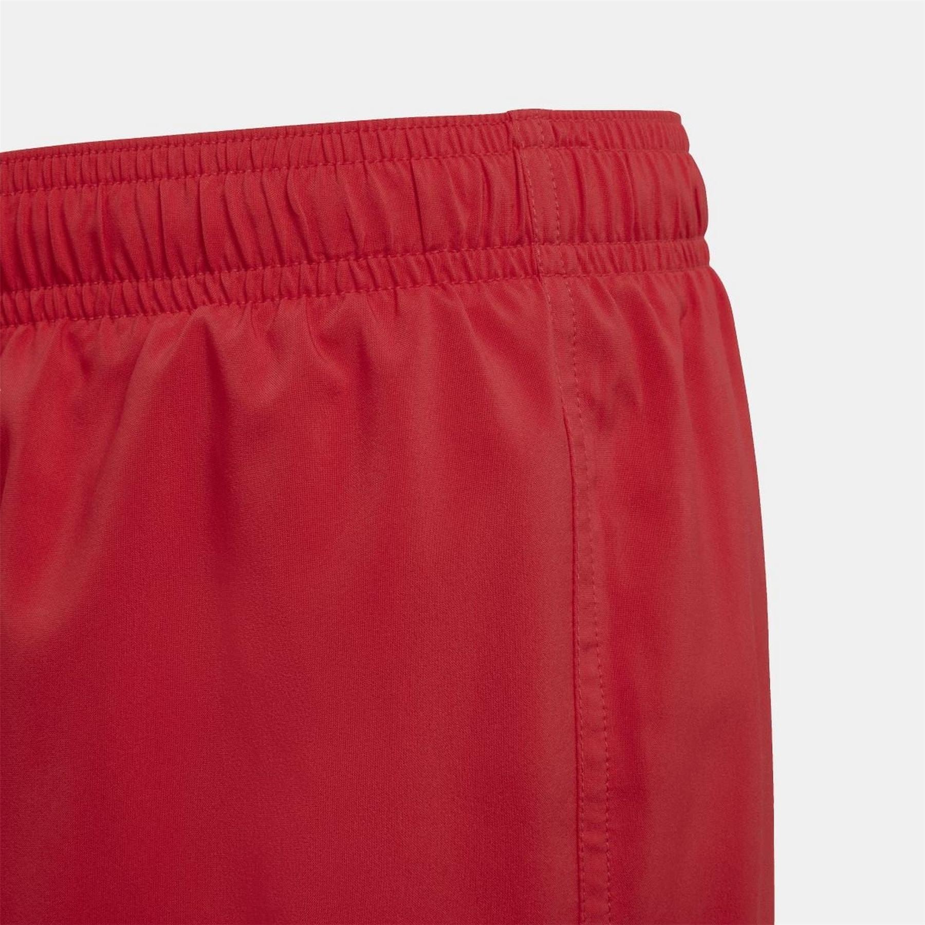 adidas Reactive Swim Shorts