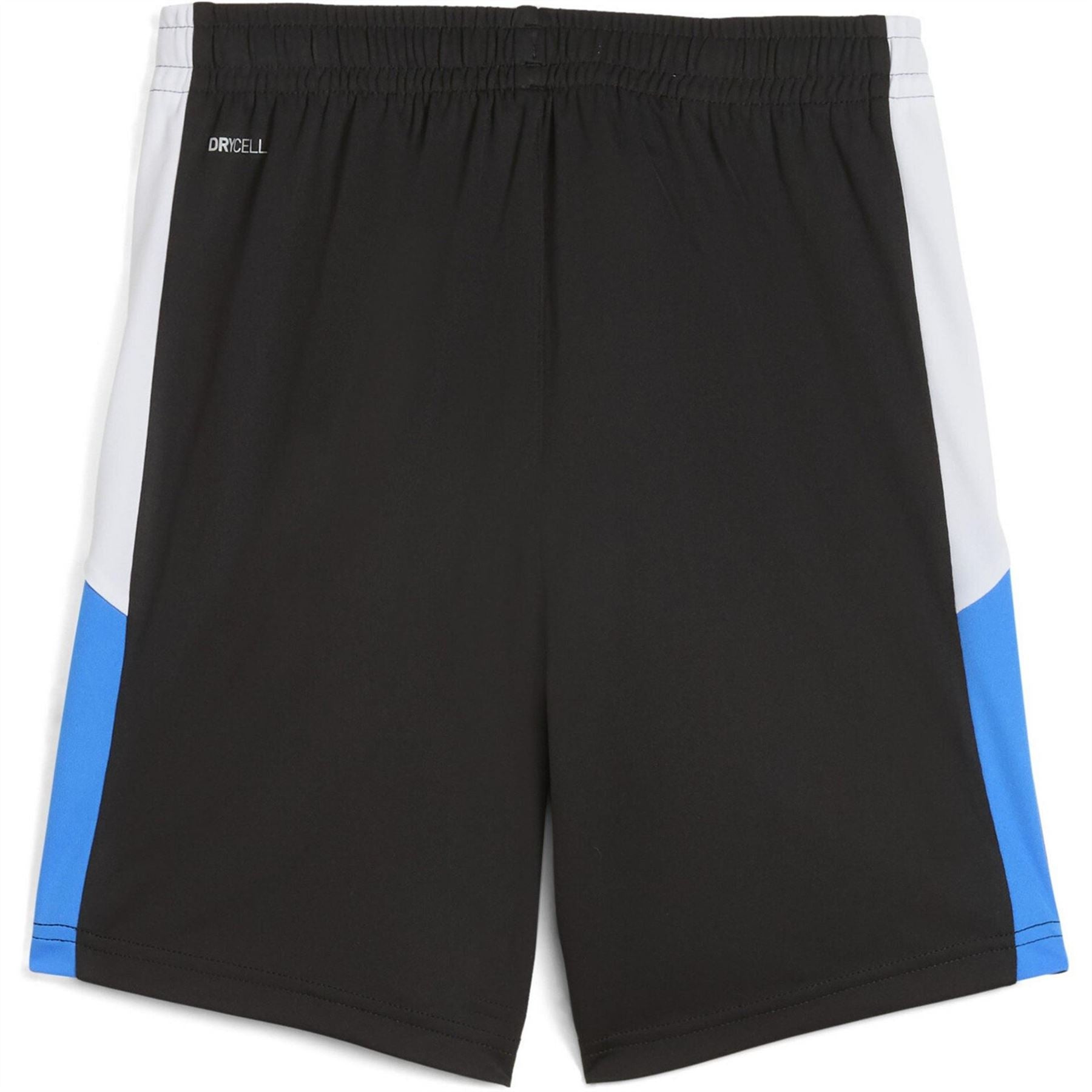 Puma Individualliga Training Football Shorts