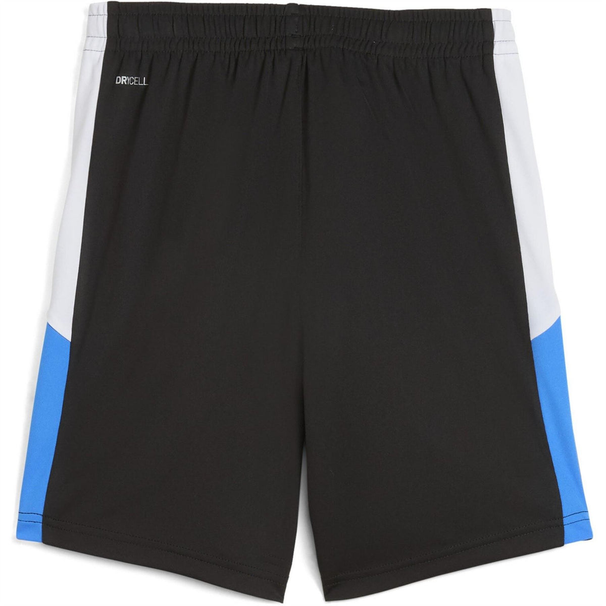 Puma Individualliga Training Football Shorts