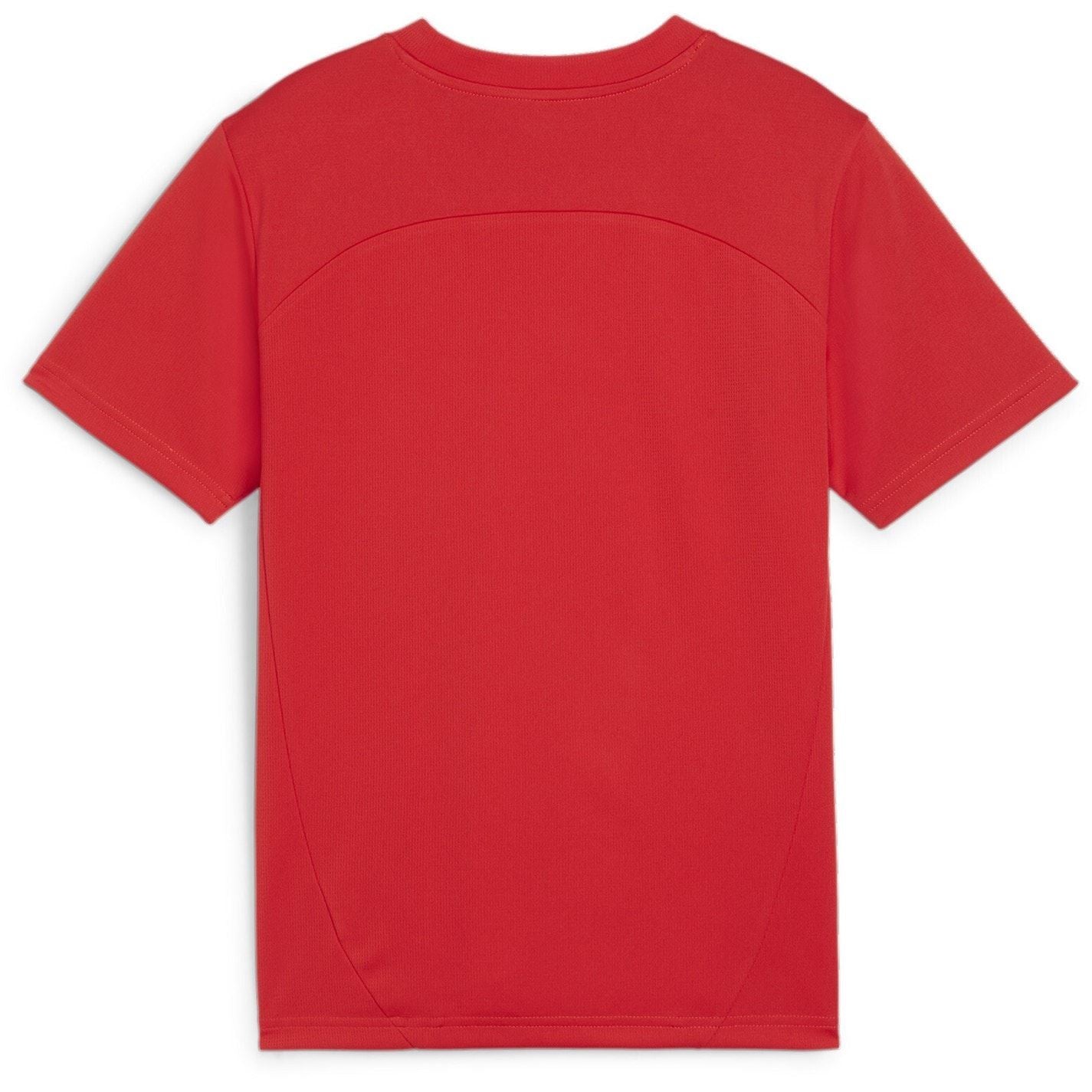 Puma Teamfinal Training Short Sleeve Performance T-Shirt