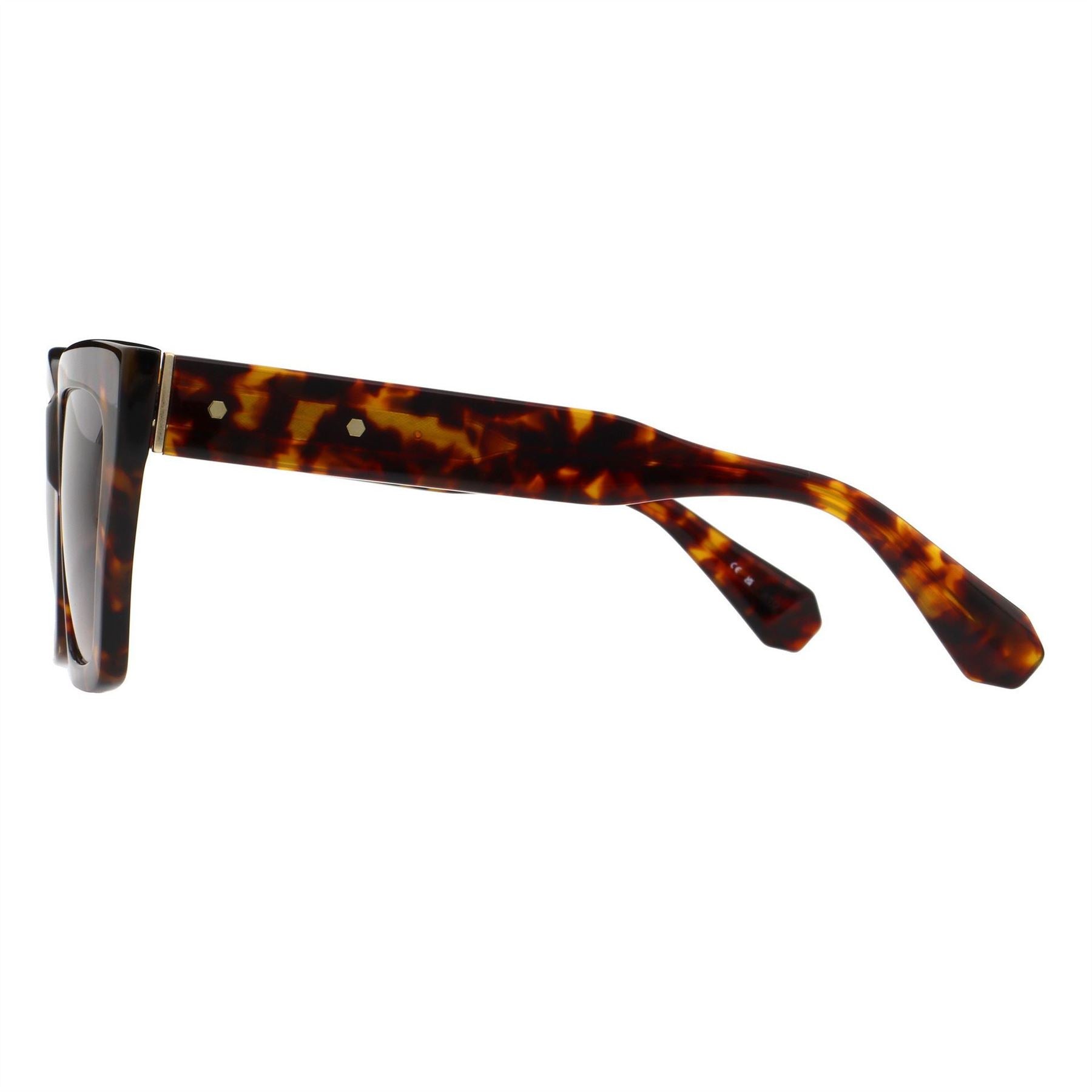AllSaints Minerva Cat Eye Full Rim Sunglasses