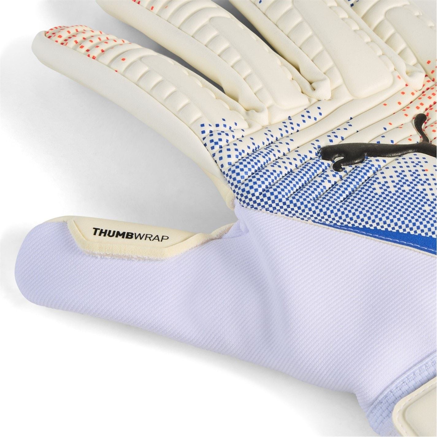 Puma Future Match Goalkeeper Gloves Adults