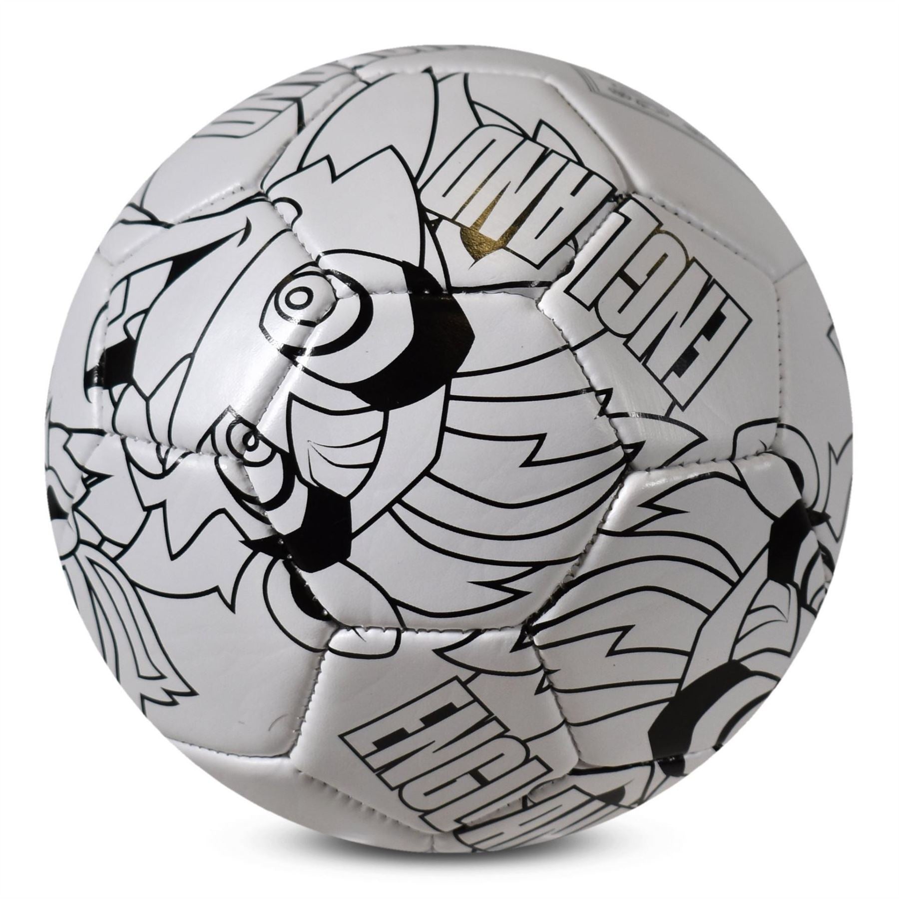Team Colour In Football Supporter Set