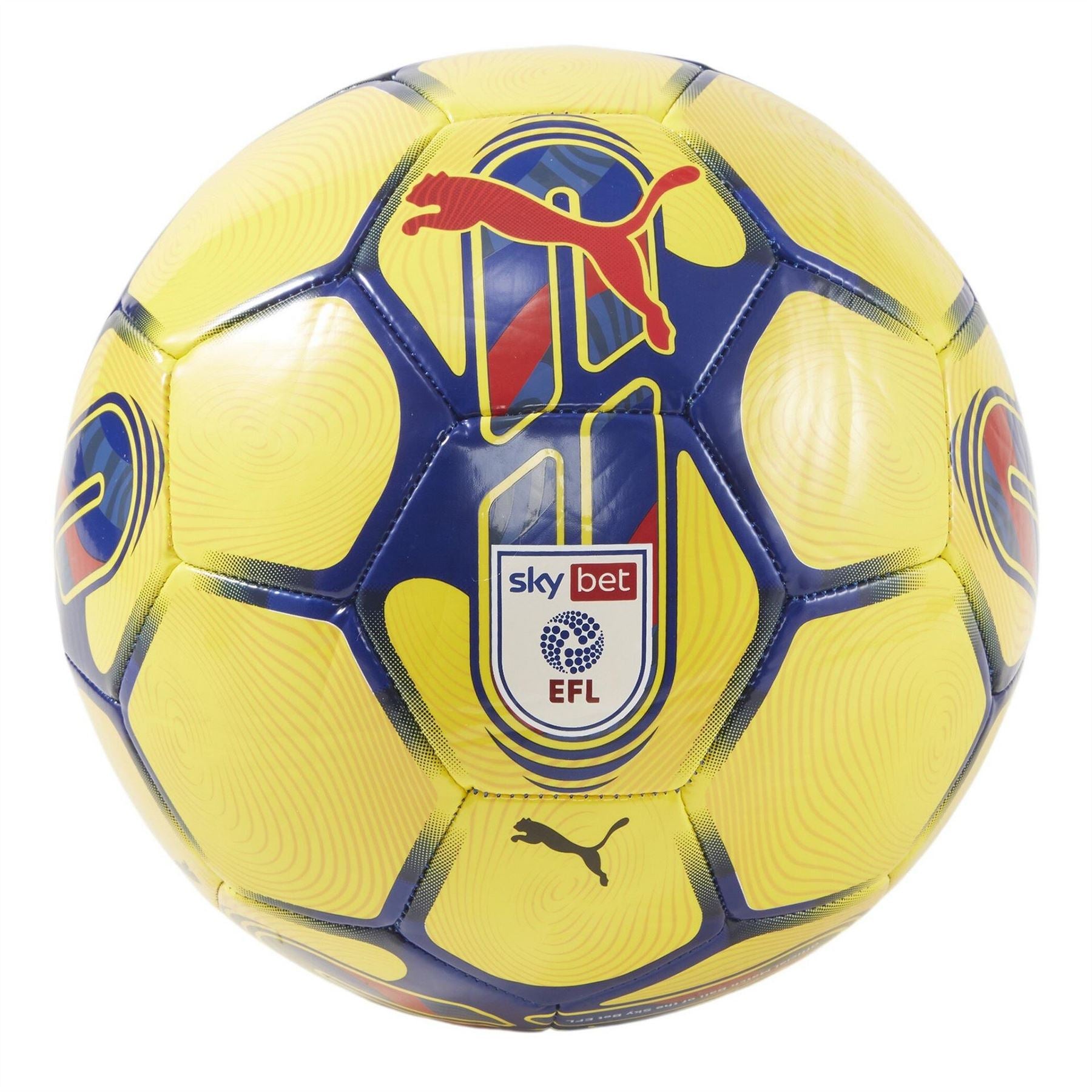 Puma Orbita 6 EFL Football 2023/2024