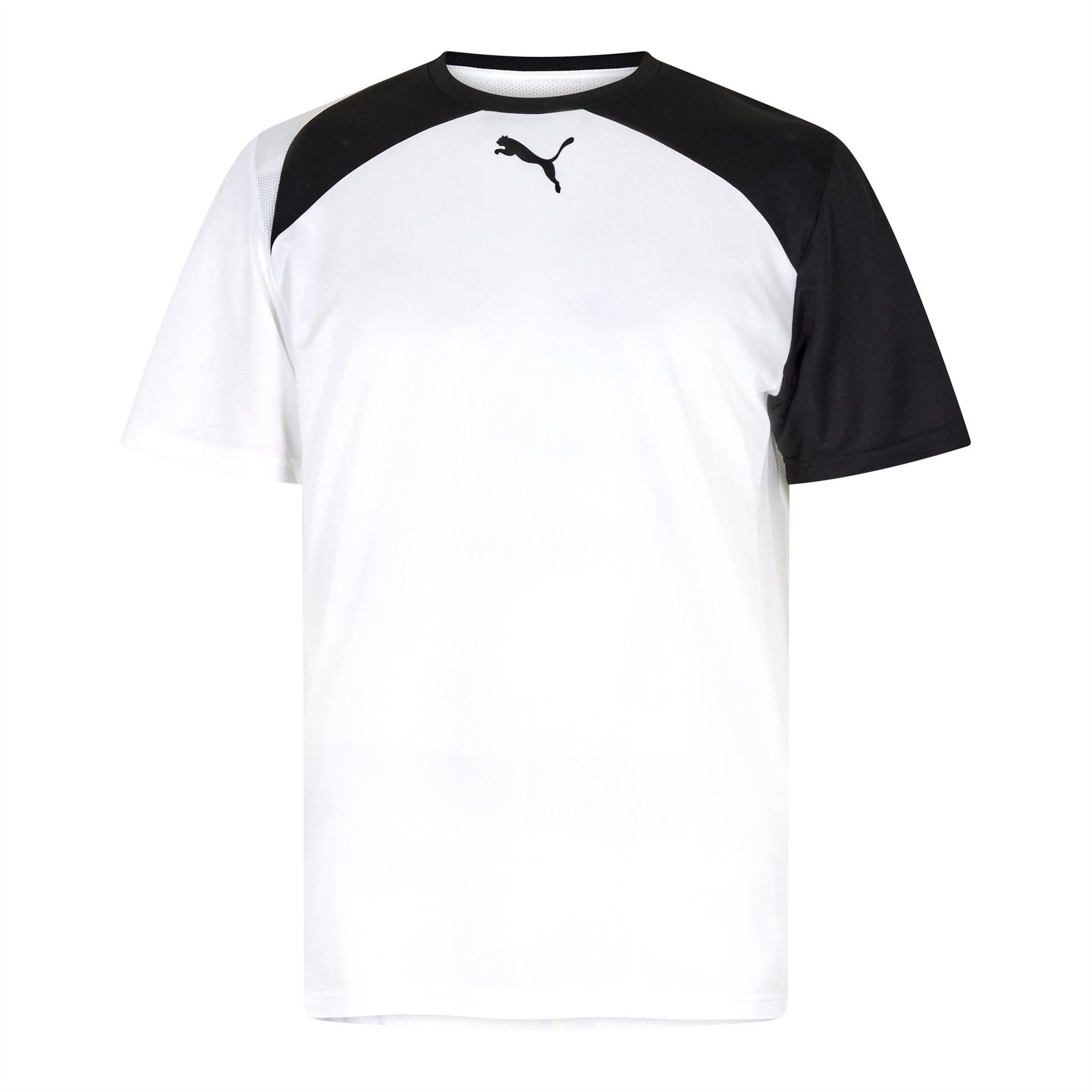 Puma Mens Evospeed Indoor S S Tee