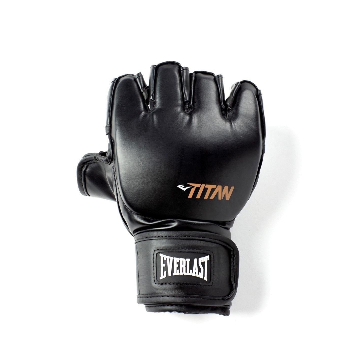 Everlast Titan Mma Training Gloves