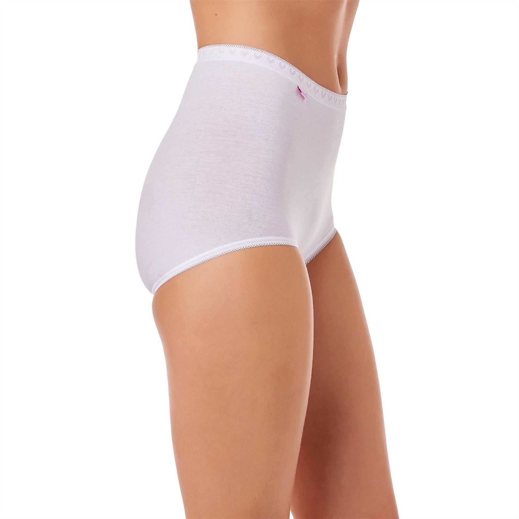 Camille Three Pack Cotton Maxi Briefs