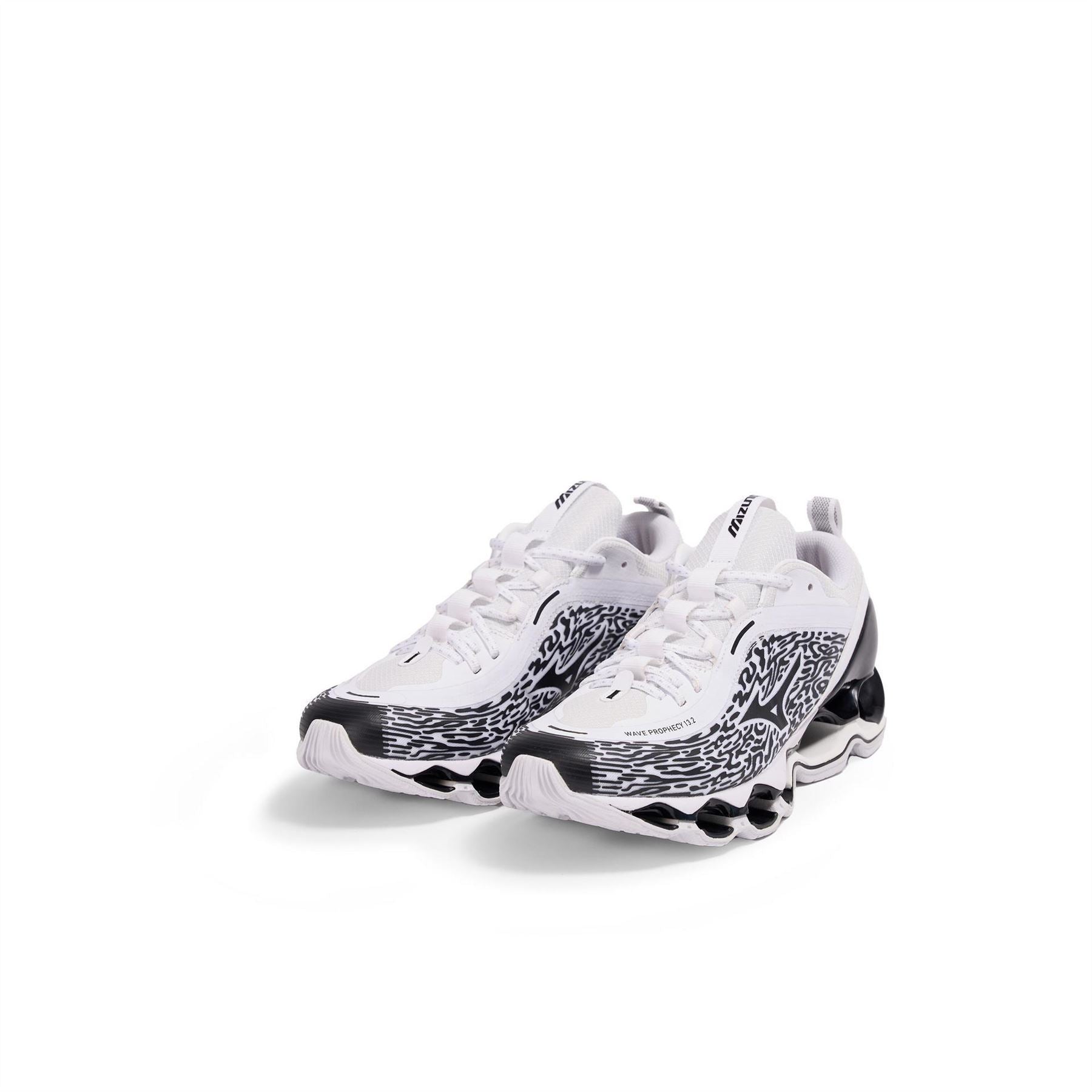 Mizuno Wave Prophecy