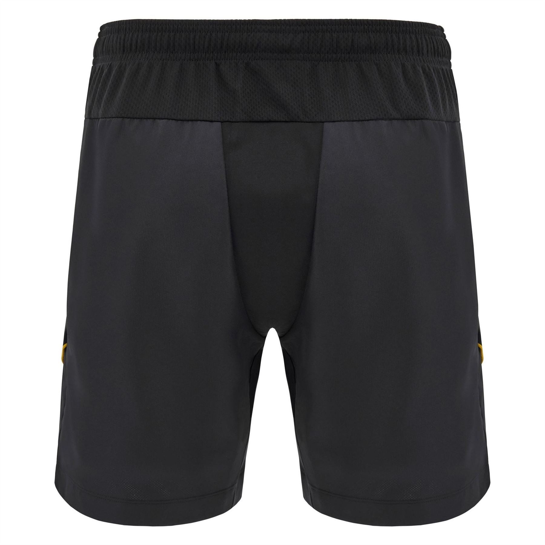 Macron Wales Rugby Training Shorts 2024 2025 Adults