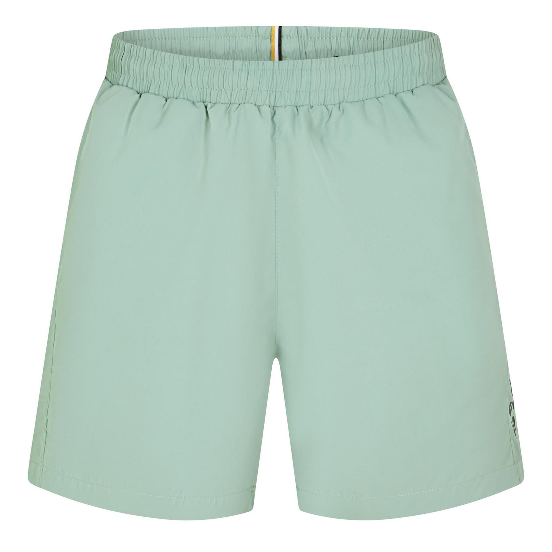 Boss Dolphin Swim Lightweight Quick Drying Shorts